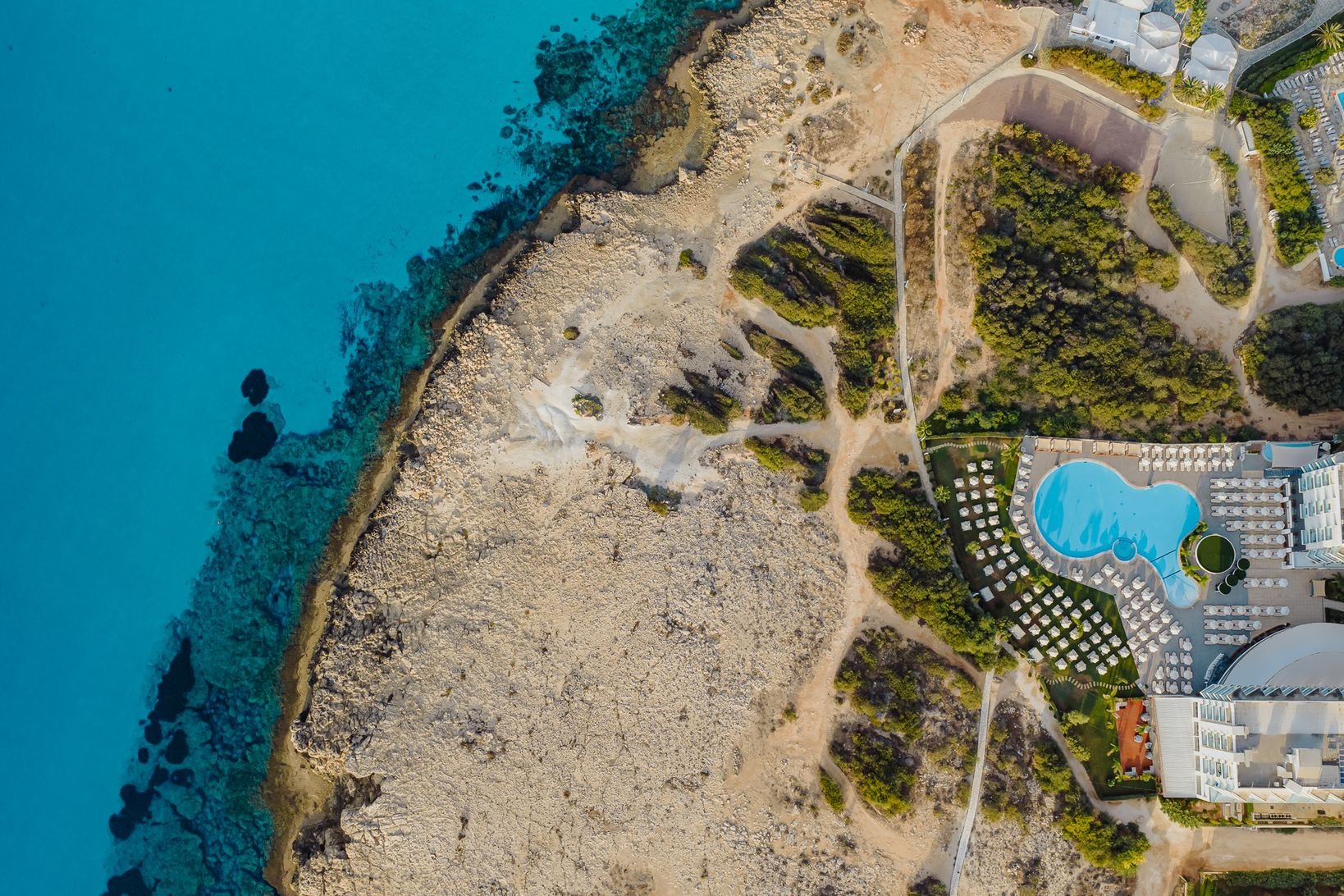 NISSIBLU 2025 by DEC-237.JPG