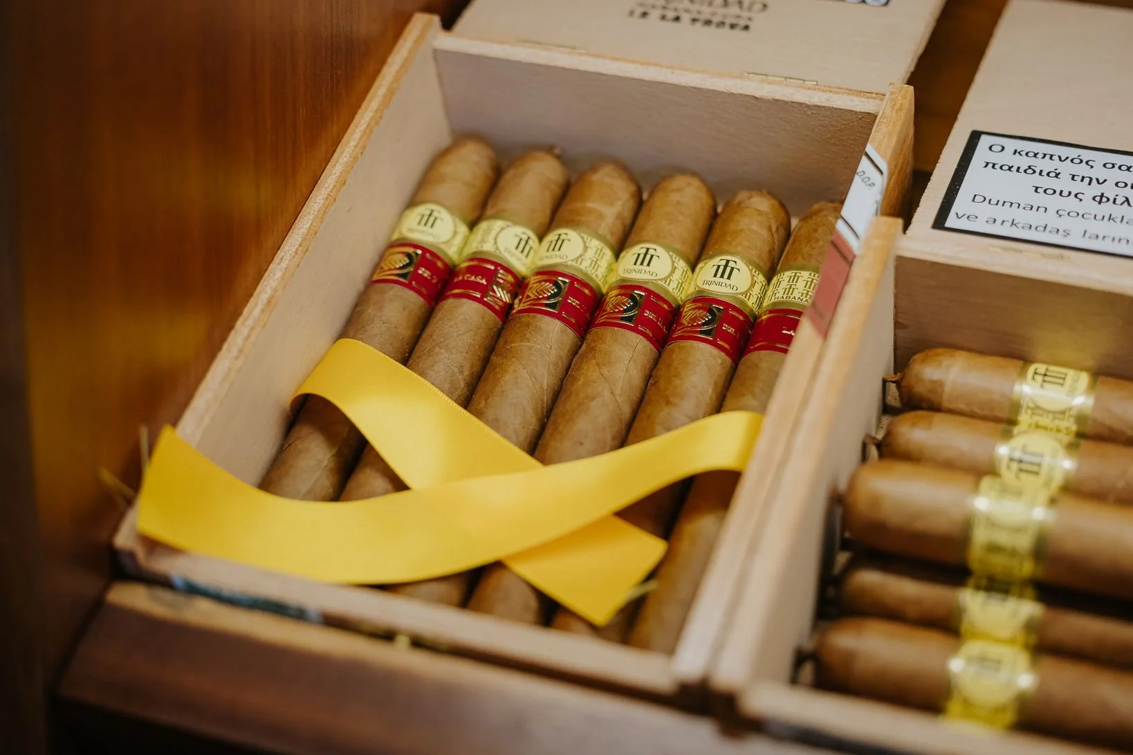 NISSIBLU 2025 by DEC-516.JPG