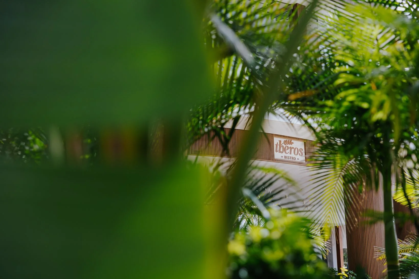 NISSIBLU 2025 by DEC-764.JPG