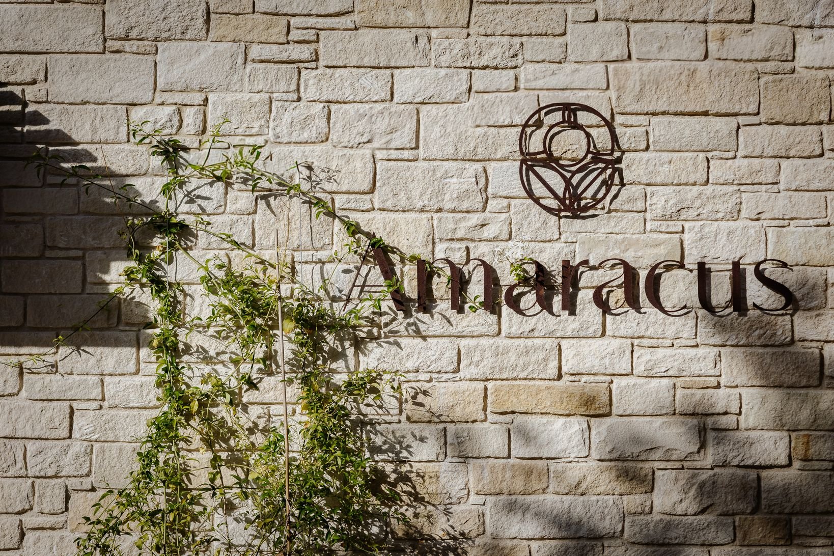 Amaracus winter 2025-1.JPG