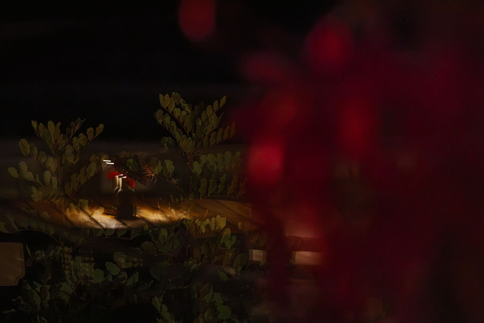 Amaracus winter 2025-108.JPG