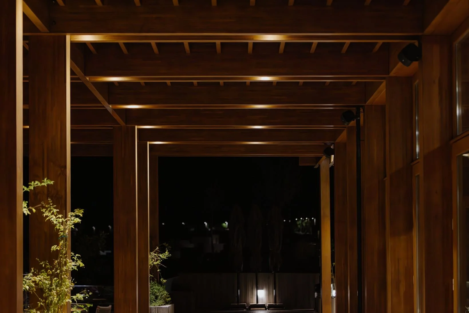 Amaracus winter 2025-115.JPG