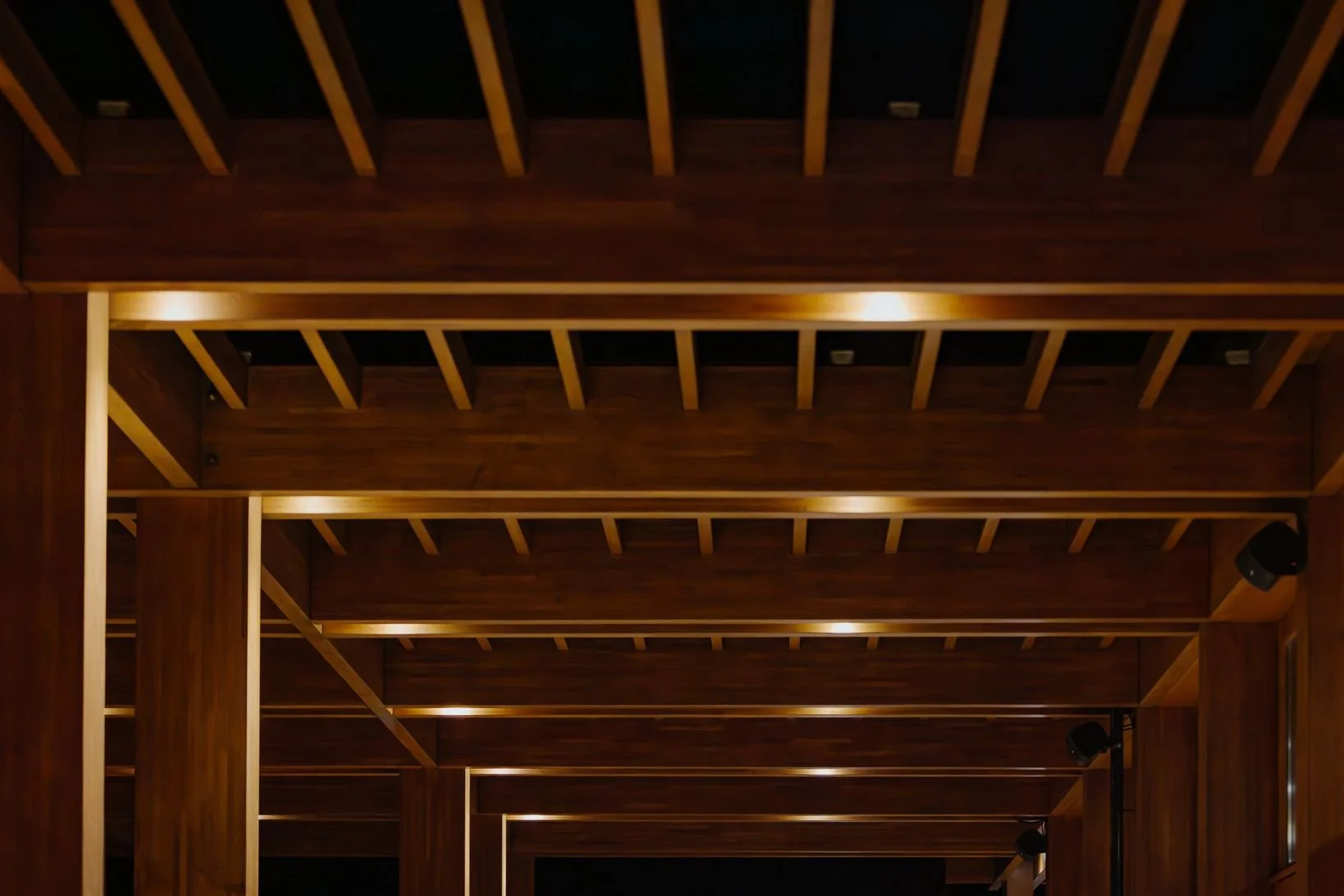 Amaracus winter 2025-116.JPG