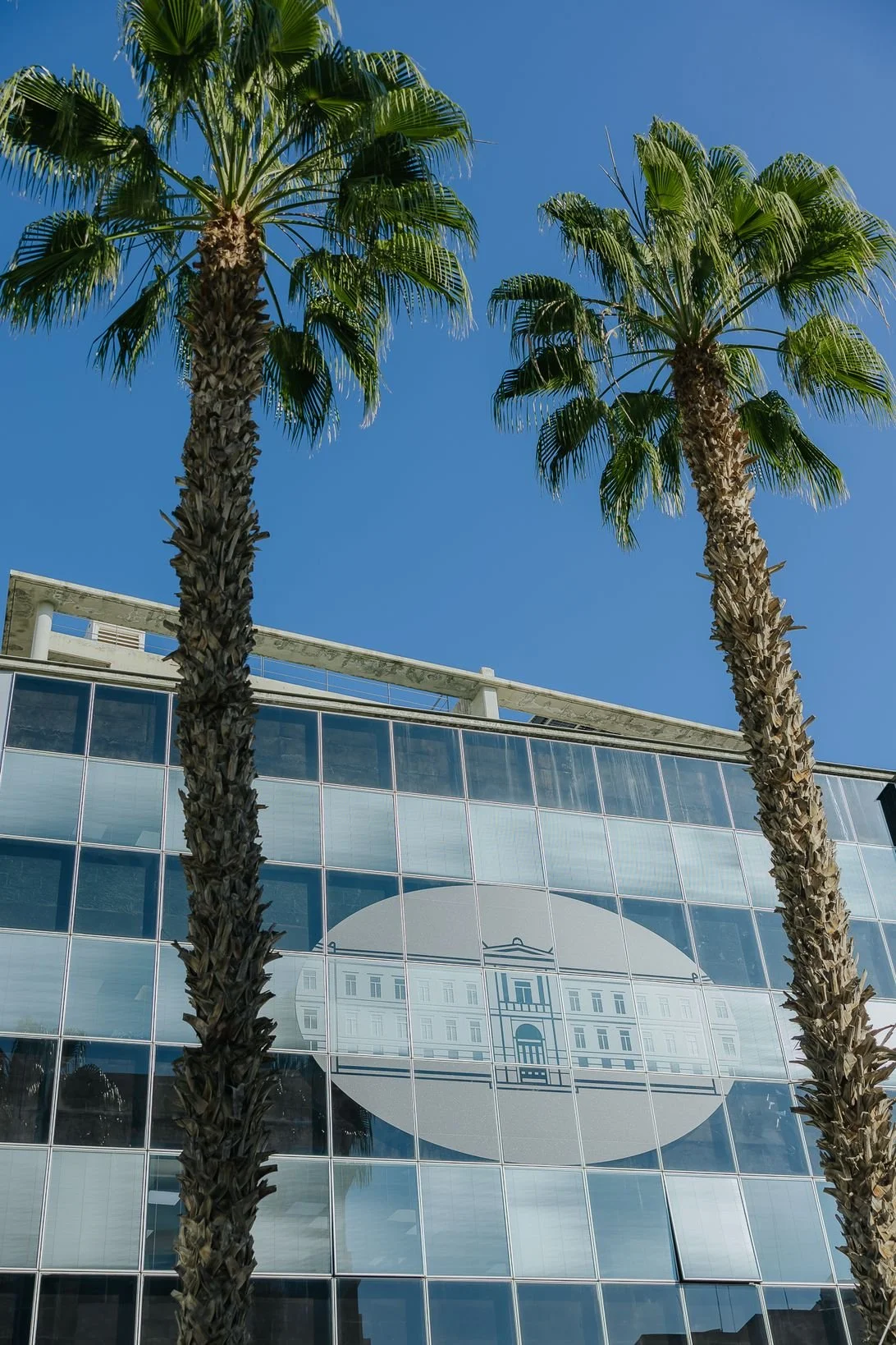 NBG Stores - Redwolf-9.JPG