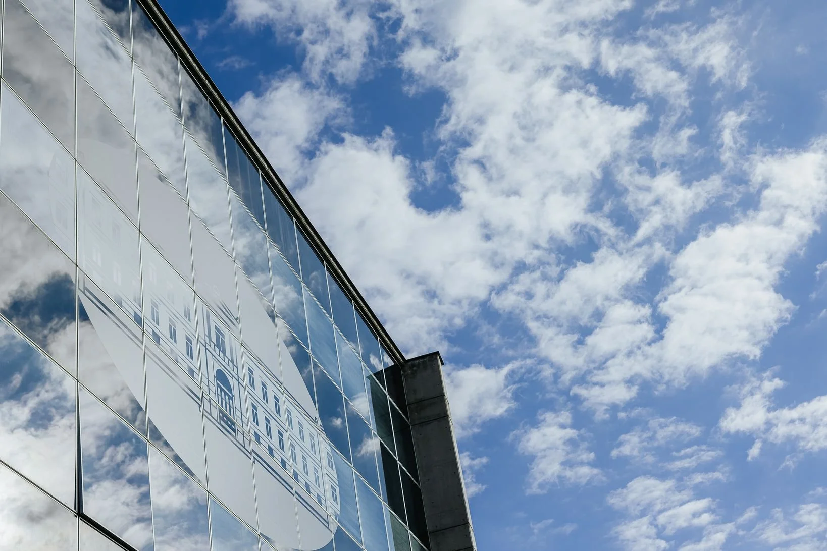 NBG Stores - Redwolf-10.JPG