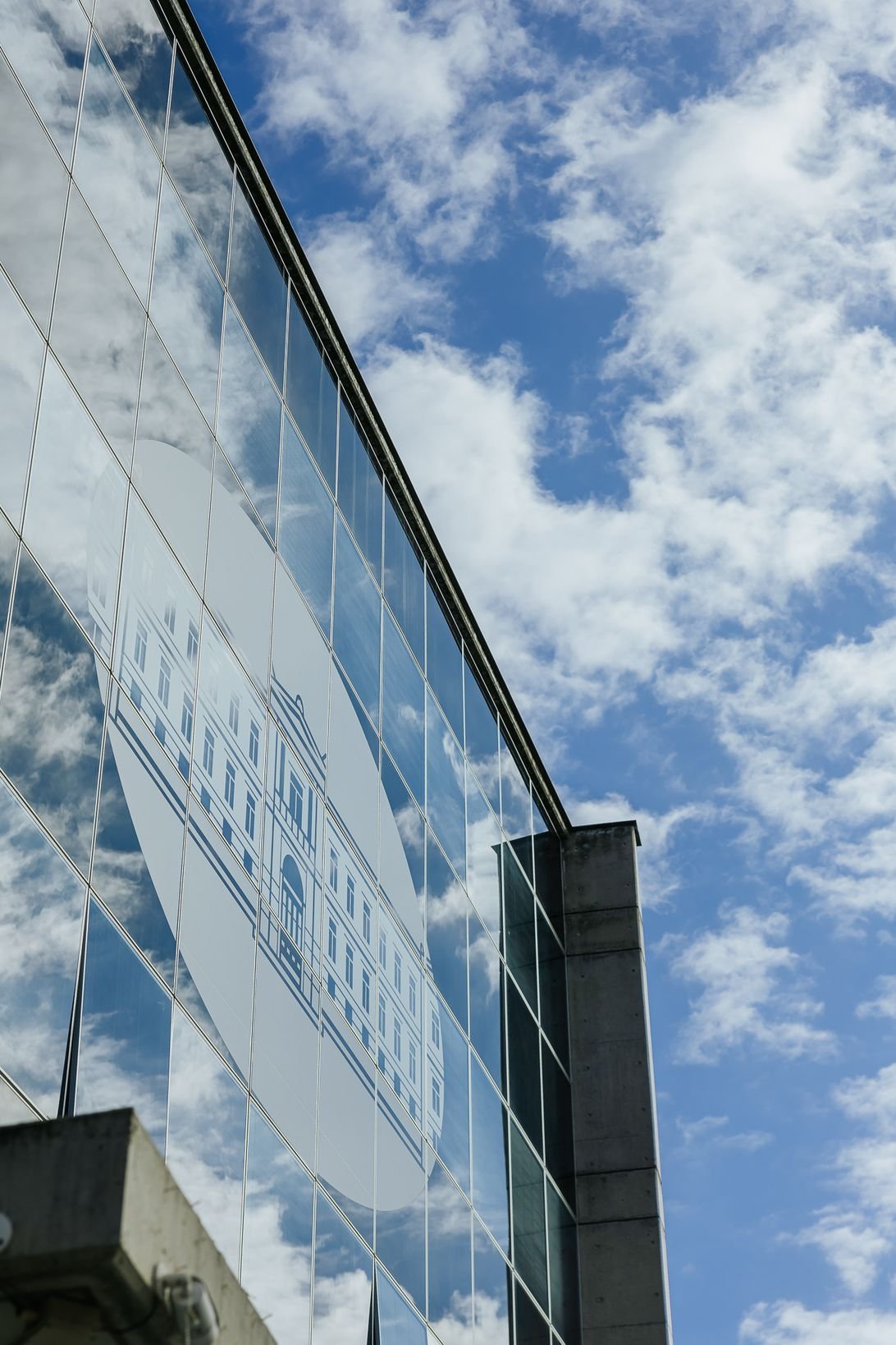 NBG Stores - Redwolf-12.JPG