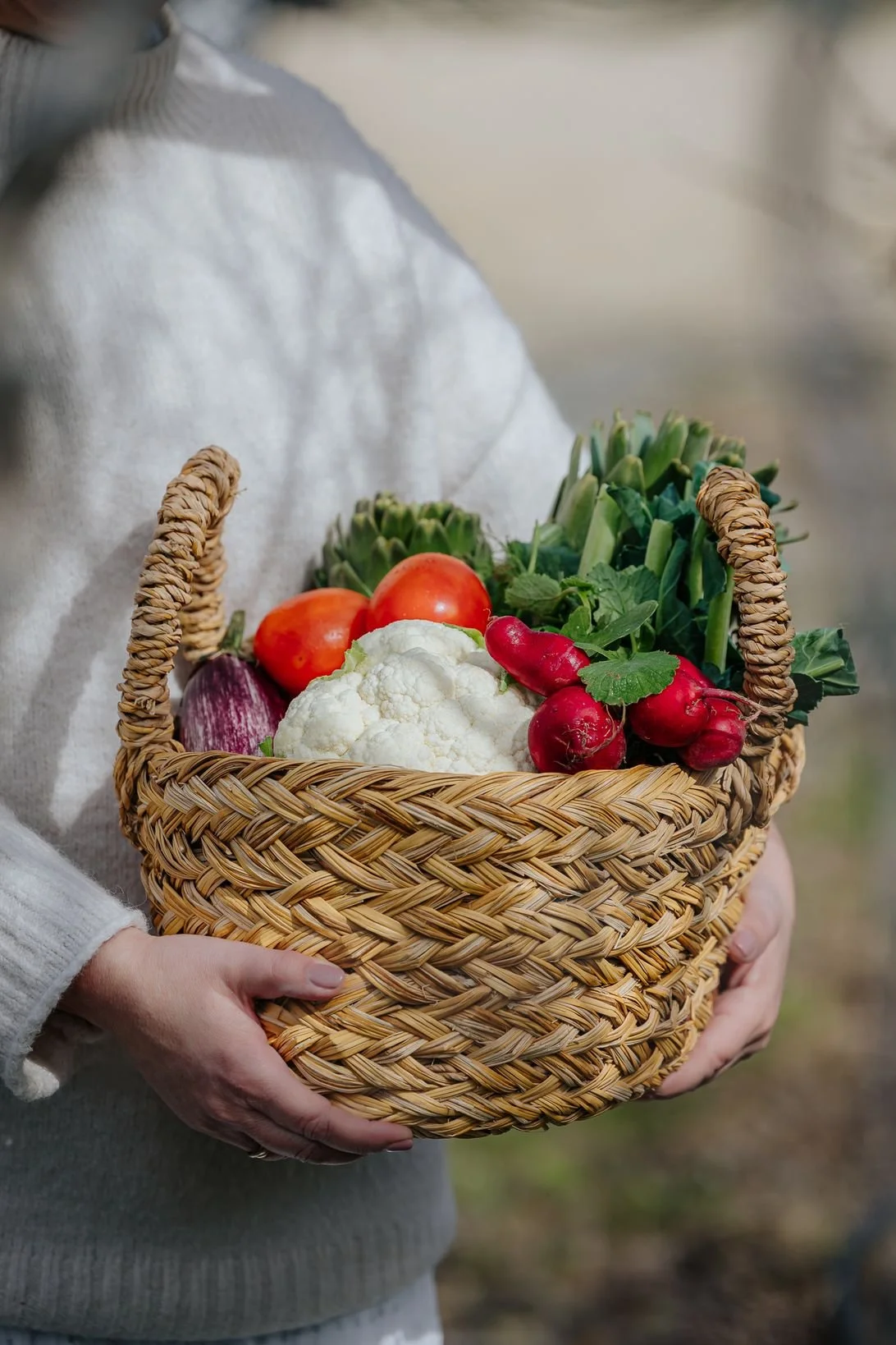 METRO Sarakosti 2025-17.jpg