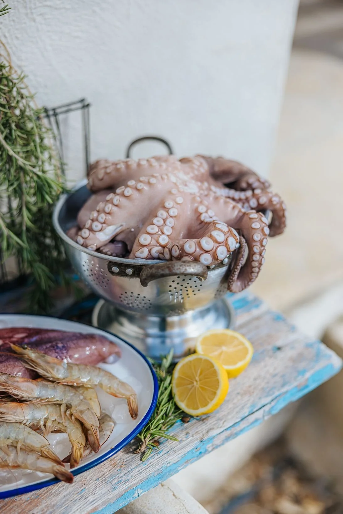 METRO Sarakosti 2025-34.jpg