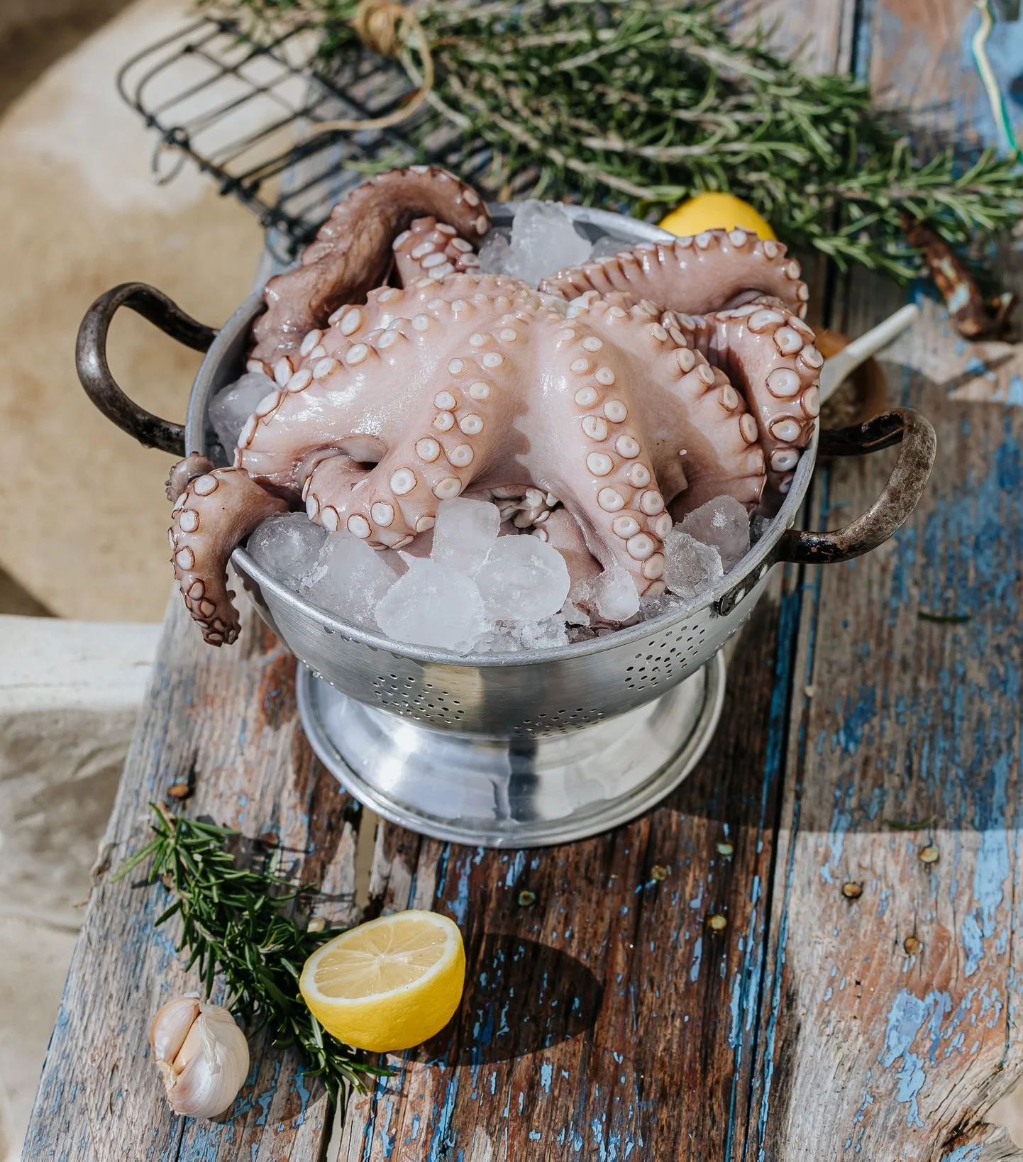 METRO Sarakosti 2025-40.jpg