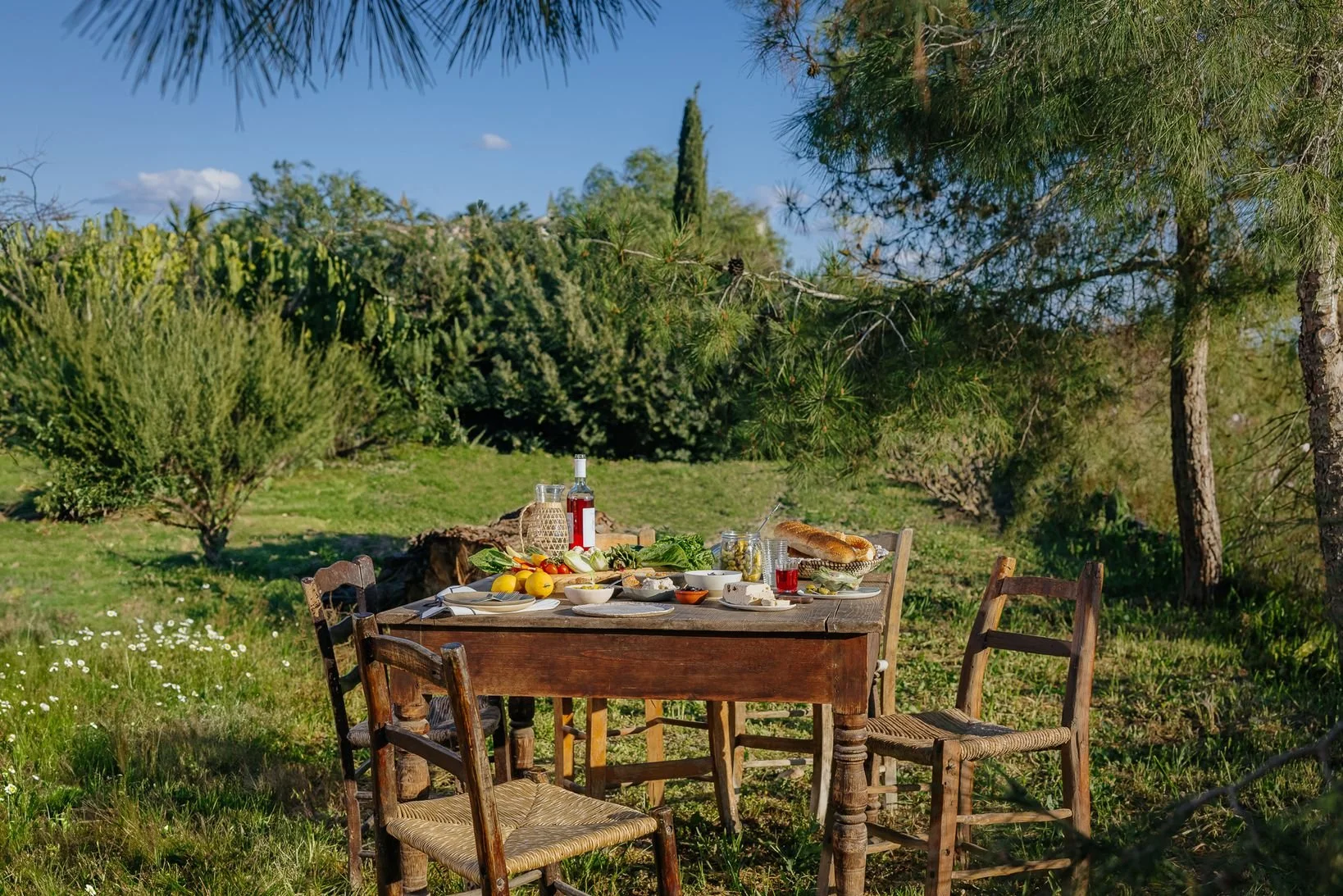 METRO Sarakosti 2025-50.jpg