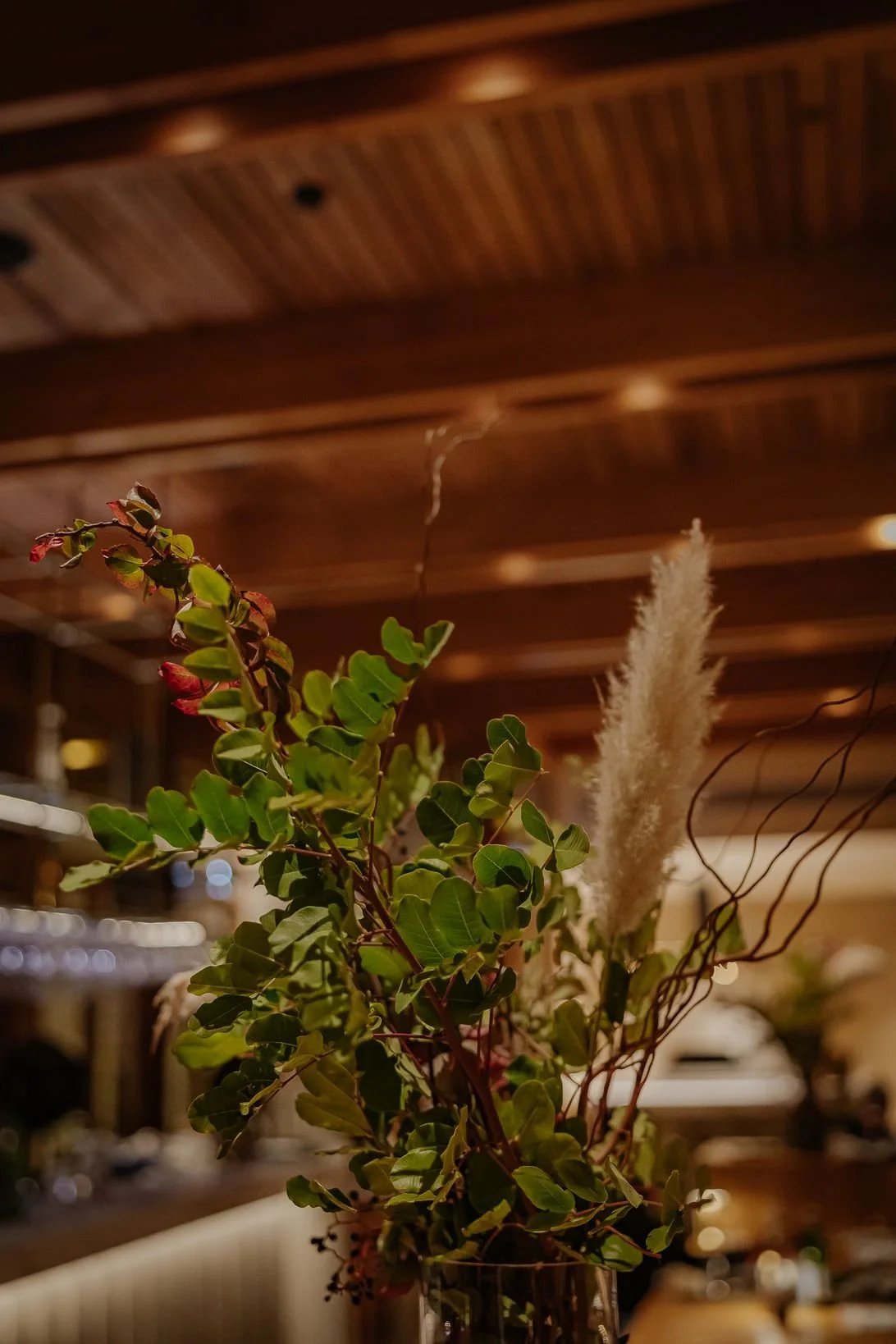 Amaracus winter 2025-106.JPG