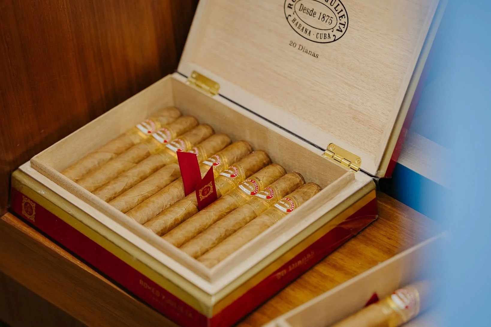 NISSIBLU 2025 by DEC-518.JPG