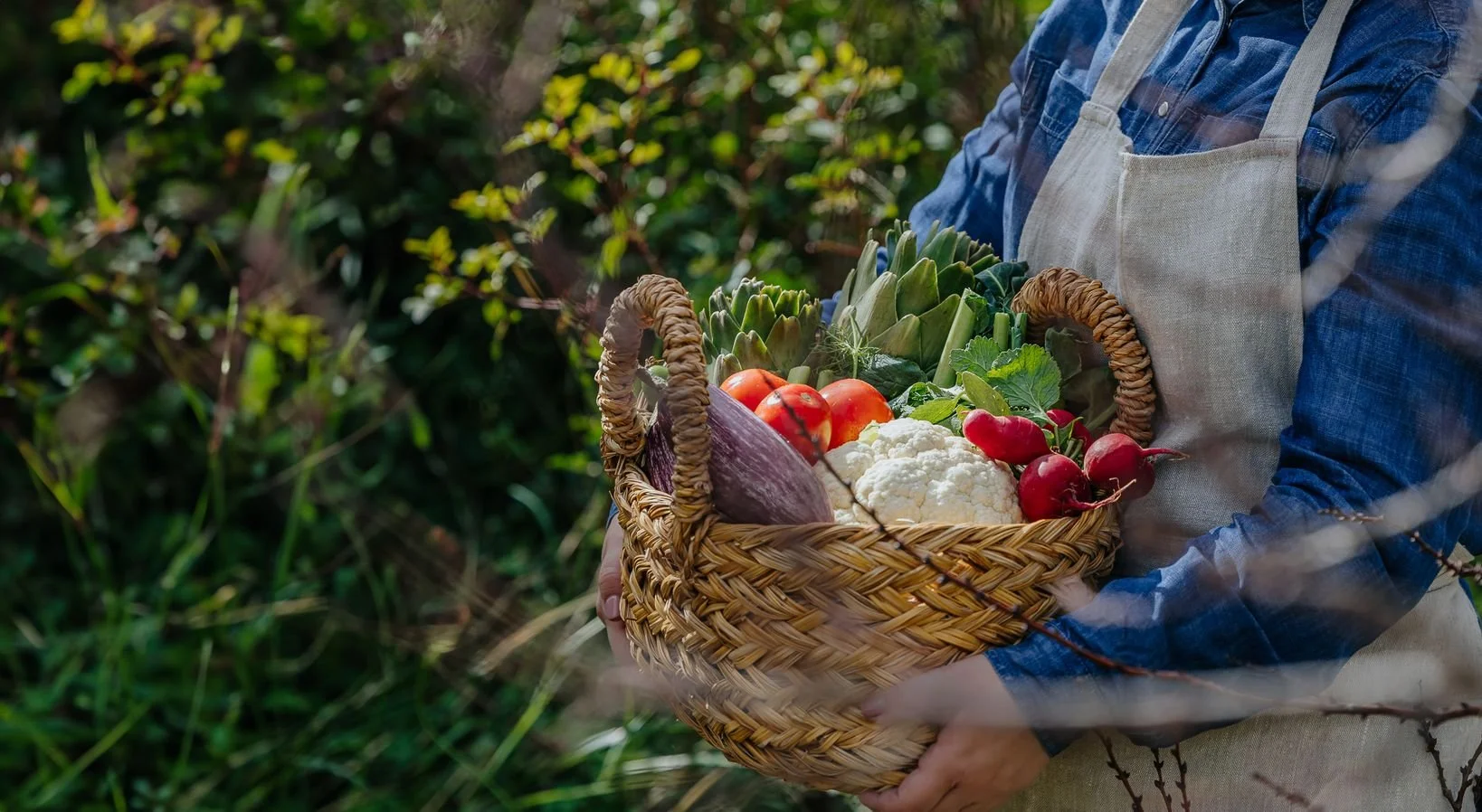 METRO Sarakosti 2025-20.jpg