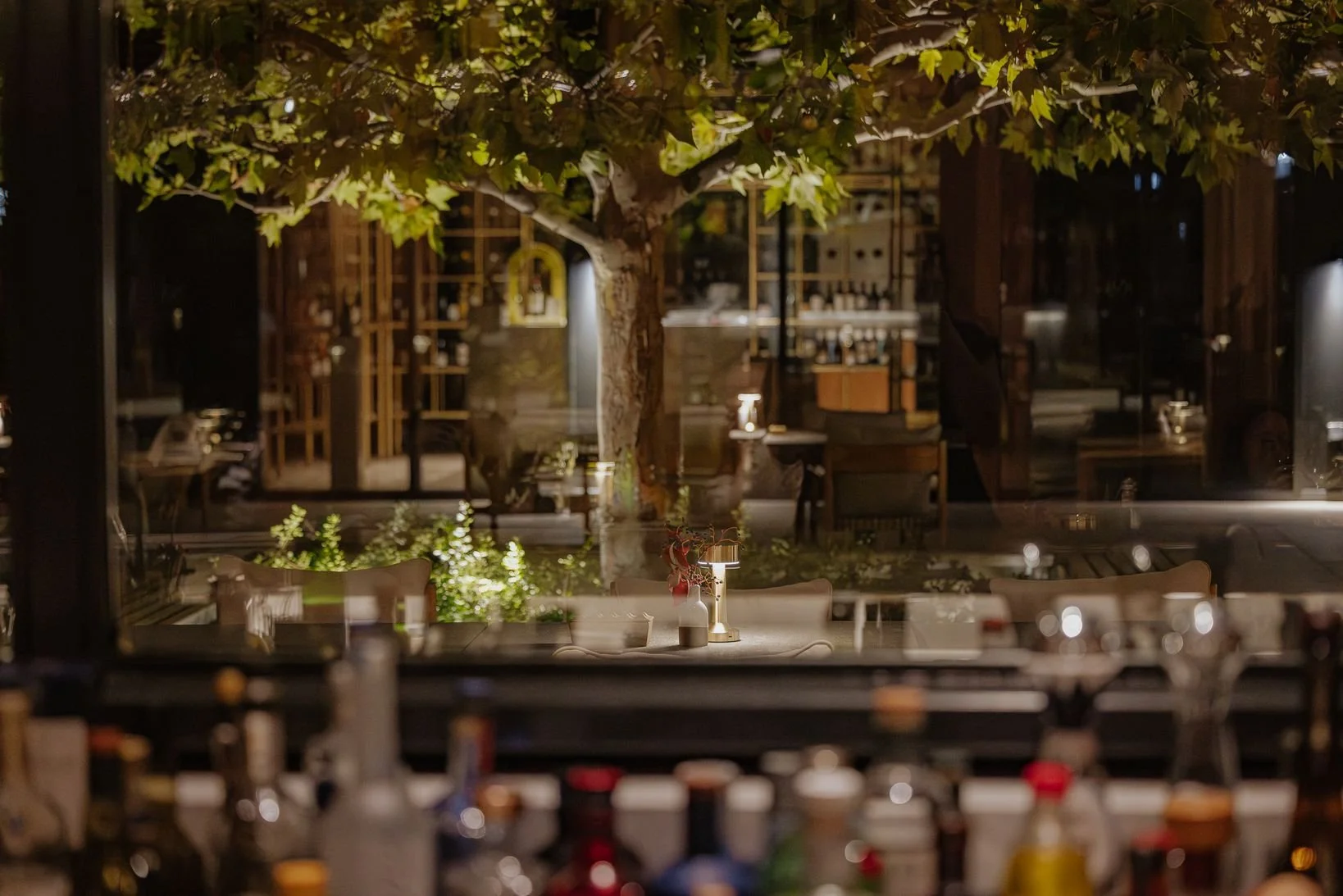 Amaracus winter 2025-93.JPG