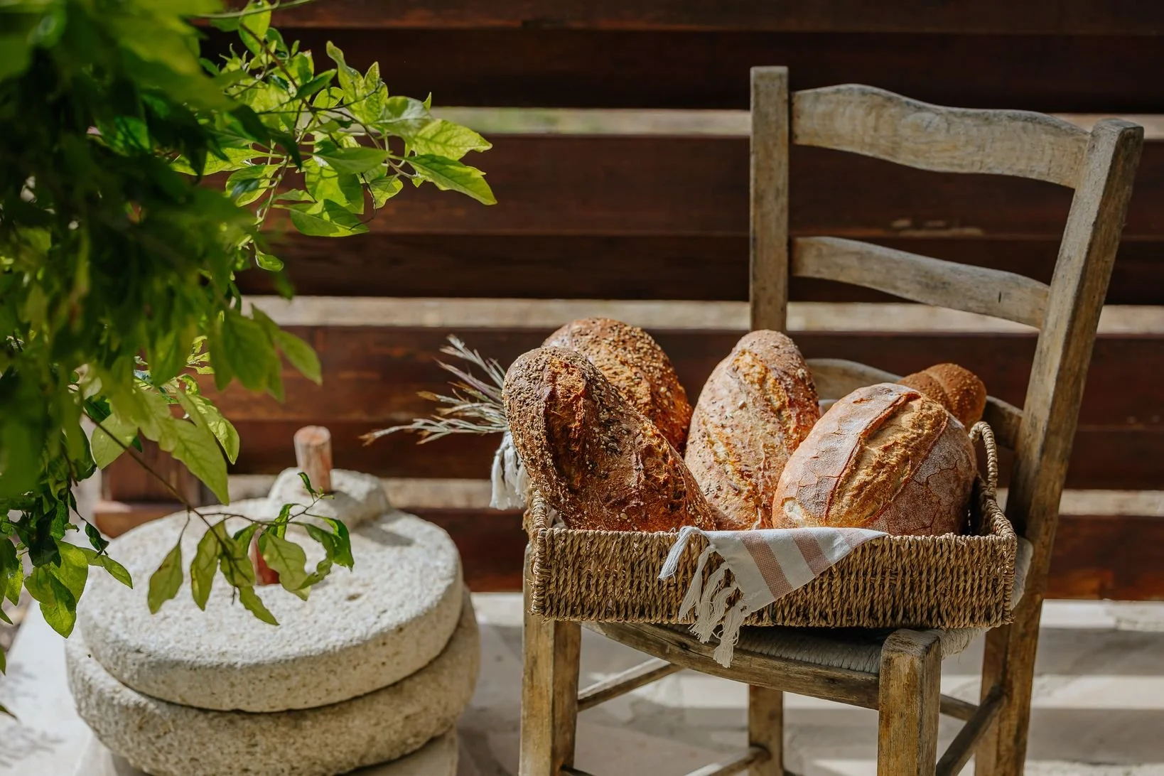 METRO Sarakosti 2025-14.jpg