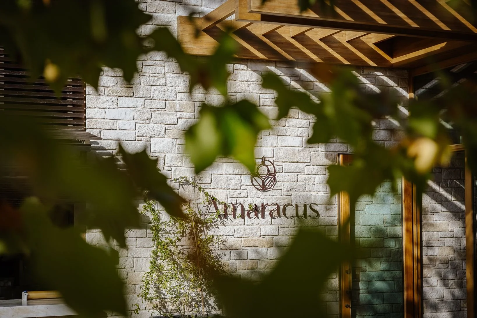 Amaracus winter 2025-2.JPG