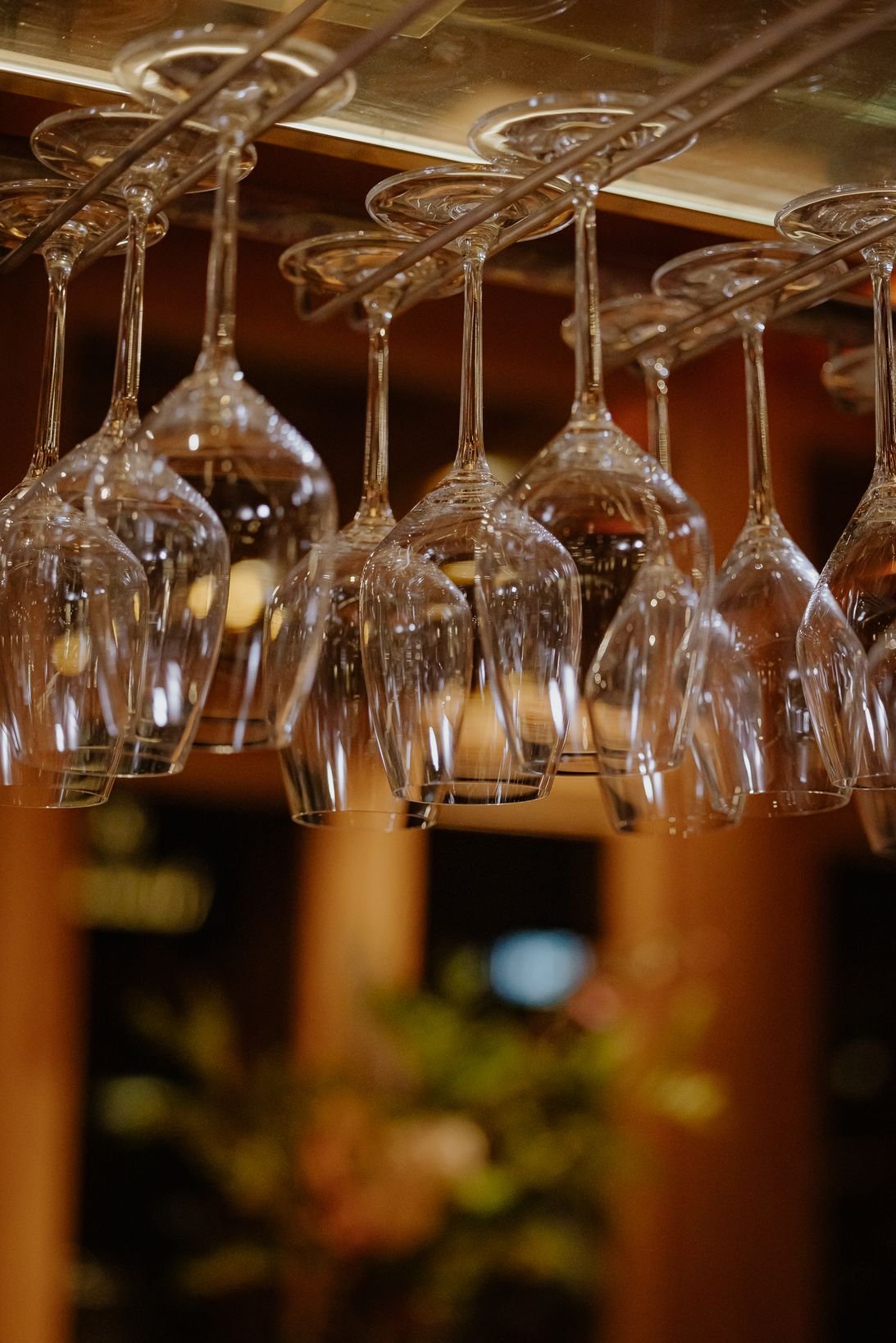 Amaracus winter 2025-119.JPG