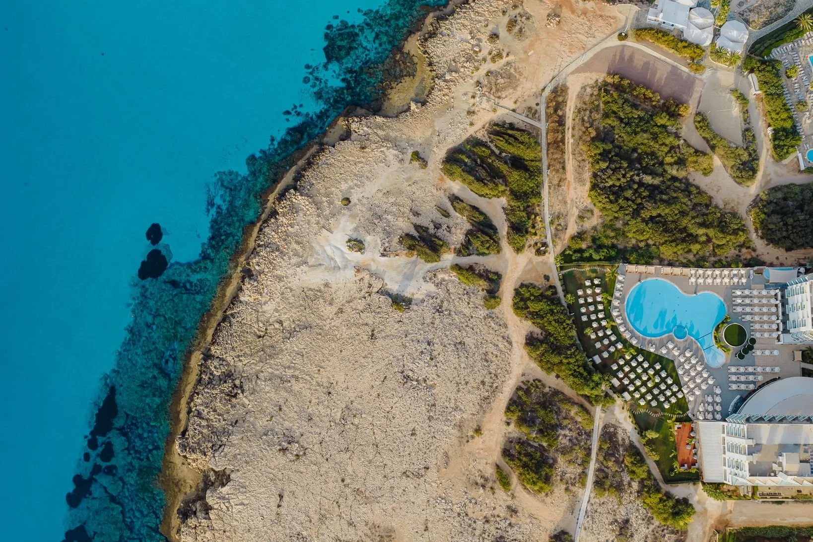 NISSIBLU 2025 by DEC-237.JPG