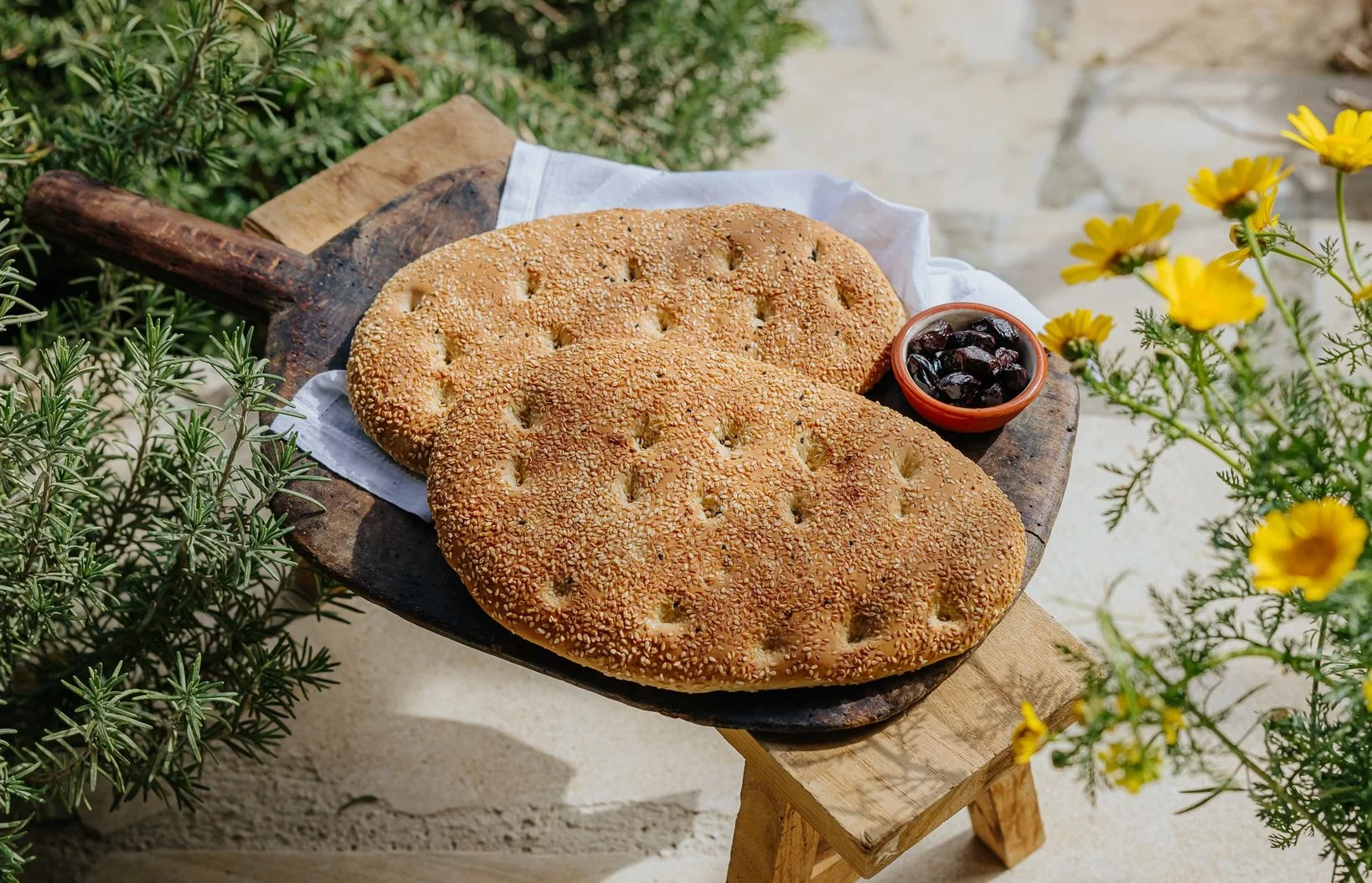 METRO Sarakosti 2025-22.jpg