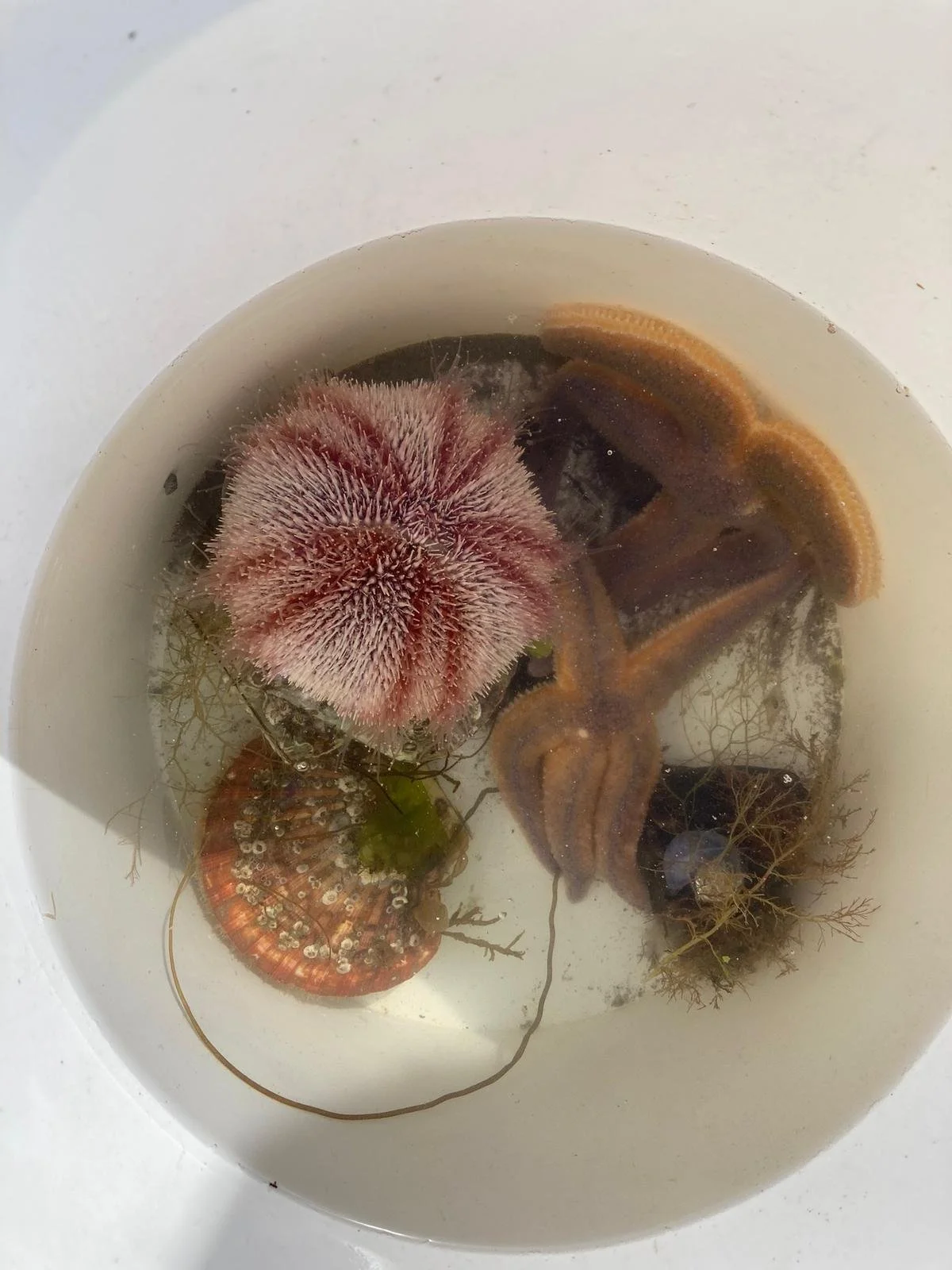 f8690753-4852-451d-b623-db80ab4a95e8 2.JPG