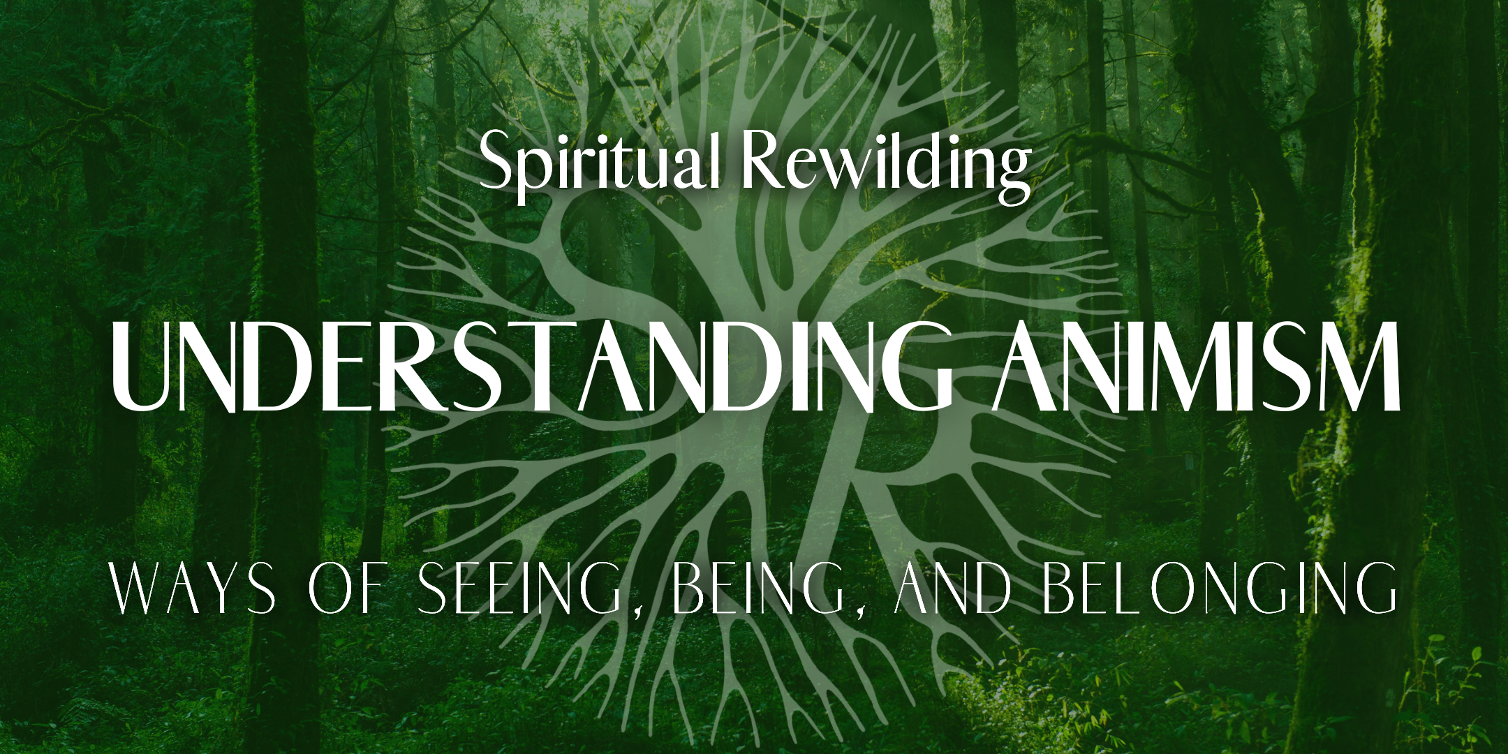 Understanding Animism