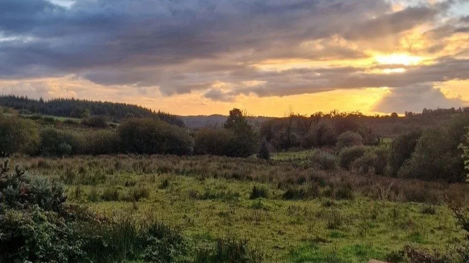 Practicing Spiritual Rewilding After Moving