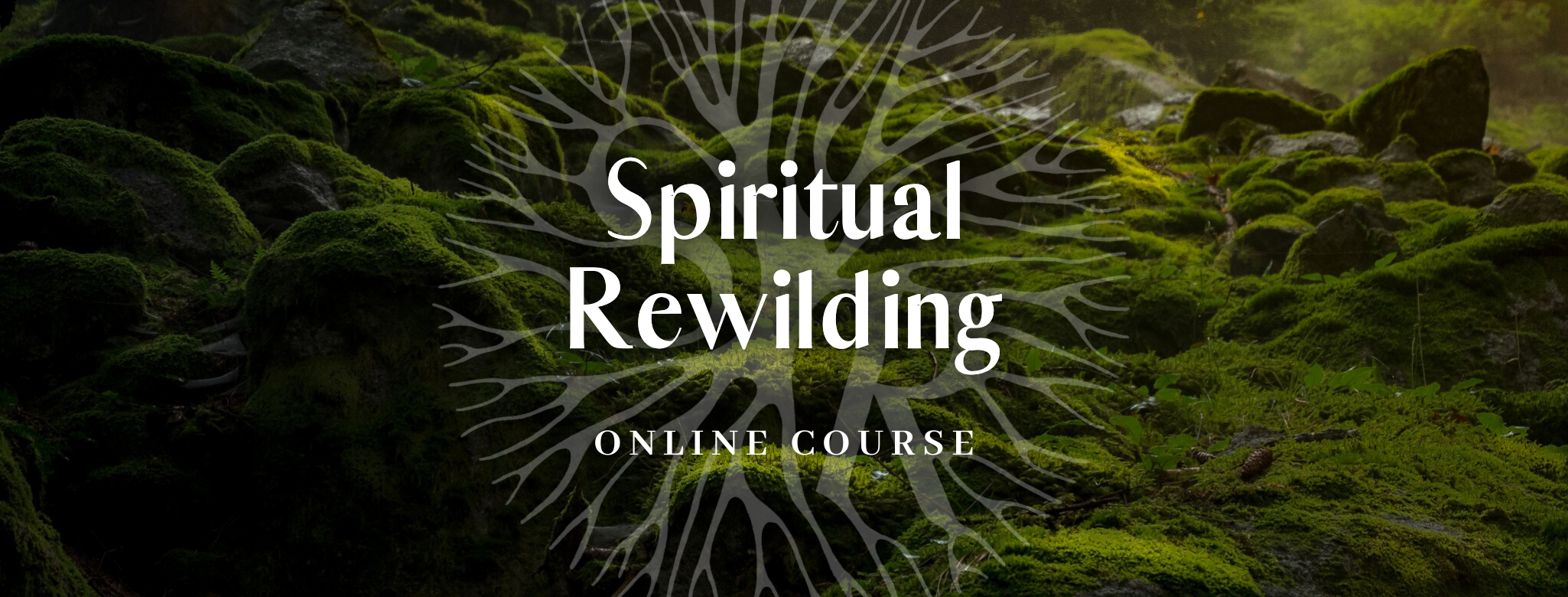 Spiritual Rewilding 2027 Online Course