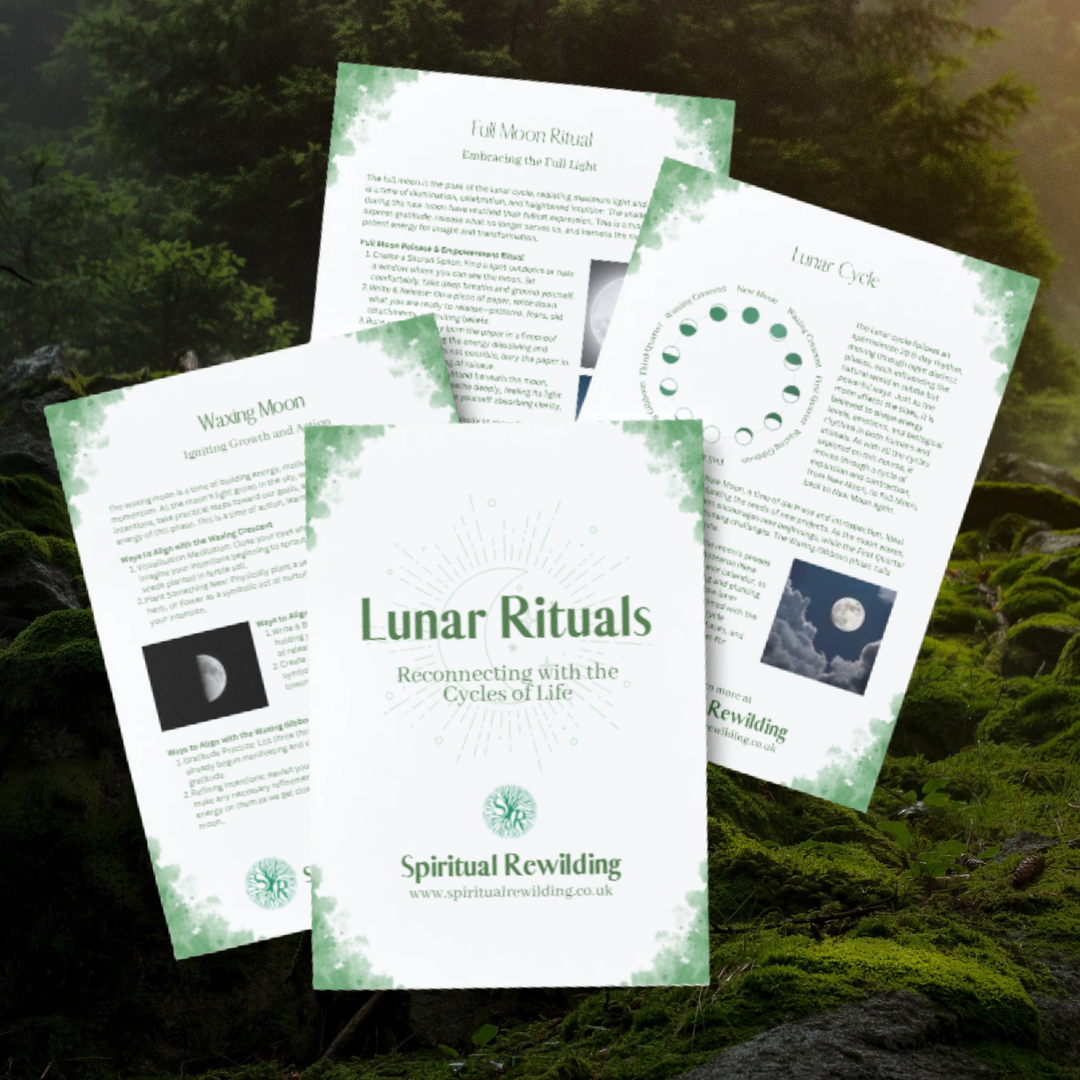 Life Cycle Ritual Example Lunar Rituals:Reconnecting with the Cycles of Life — Spiritual Rewilding