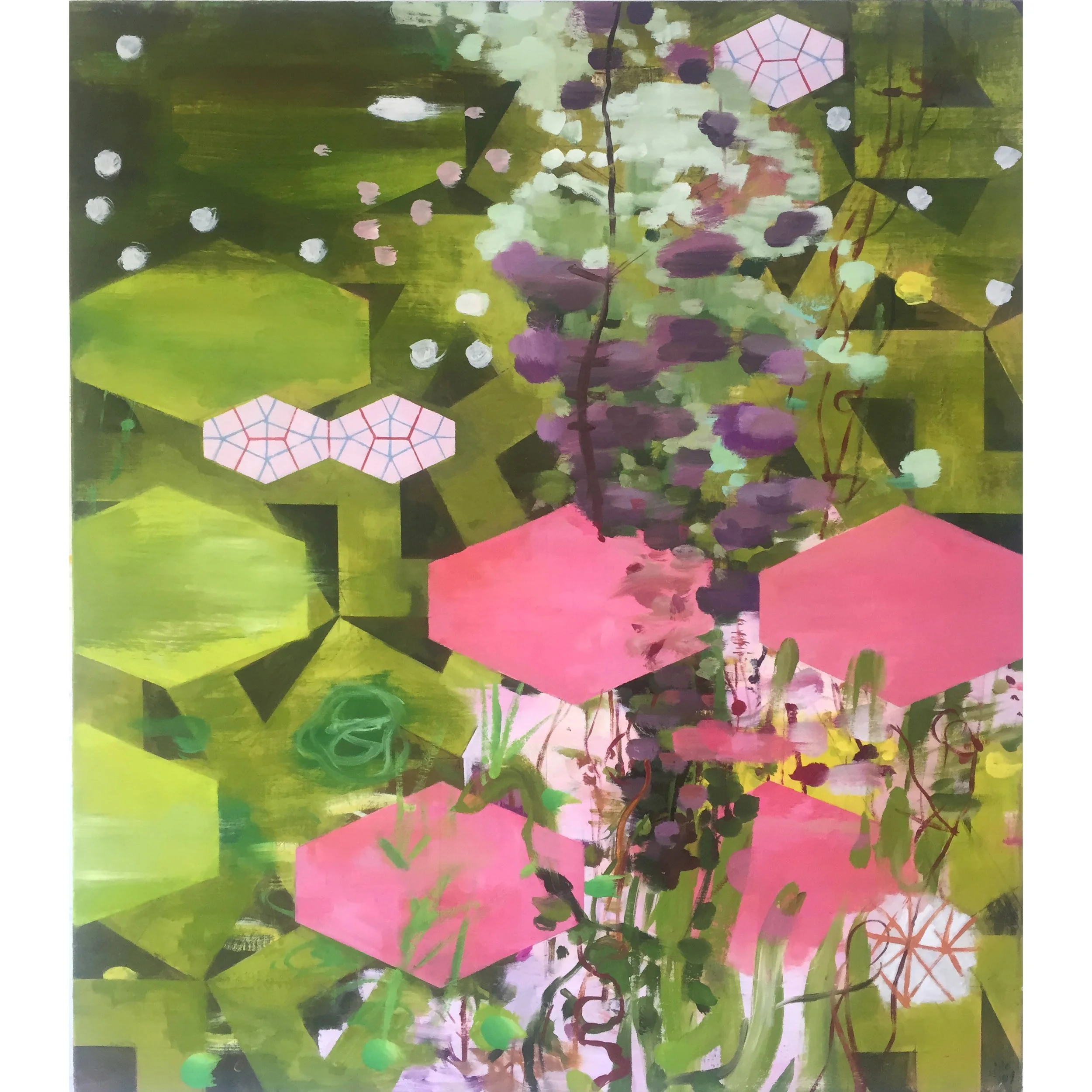 Sedum | 2019 | oil on canvas | 71 x 61cm | Private Collection