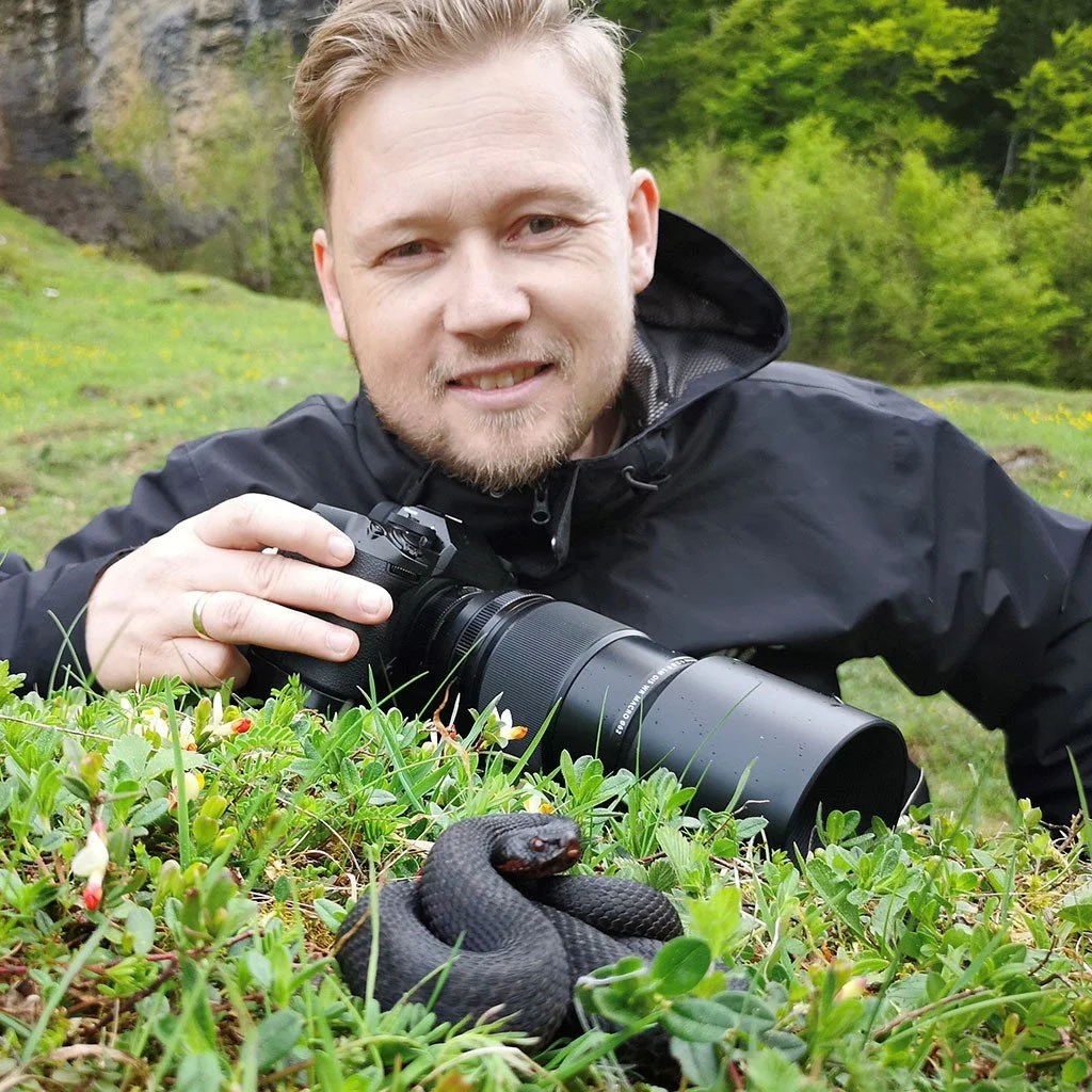 Foredrag om hoggorm m/Thor Håkonsen