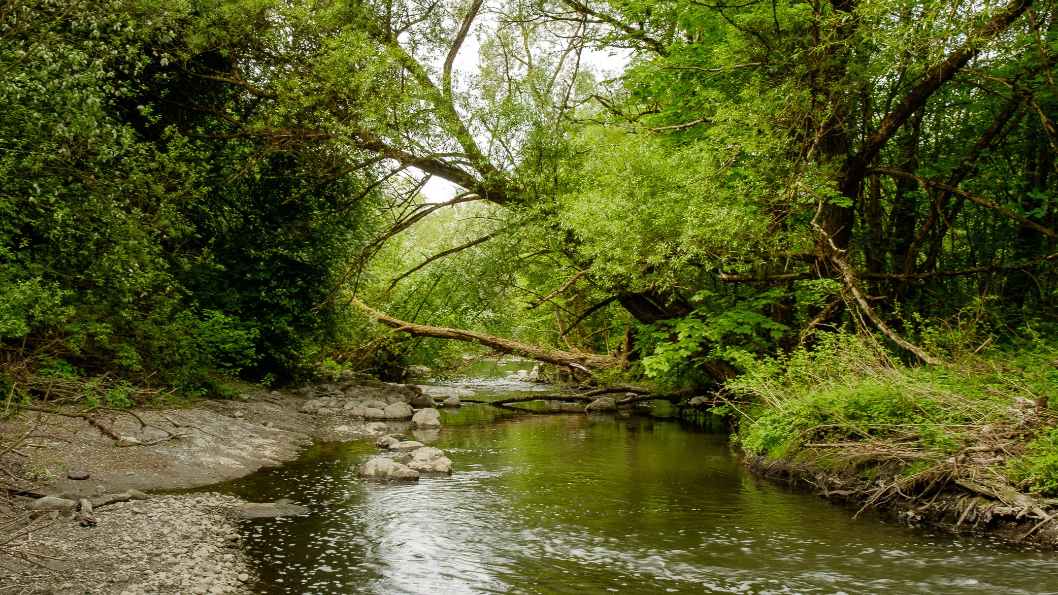 Fottur i Svartdalen, Alna