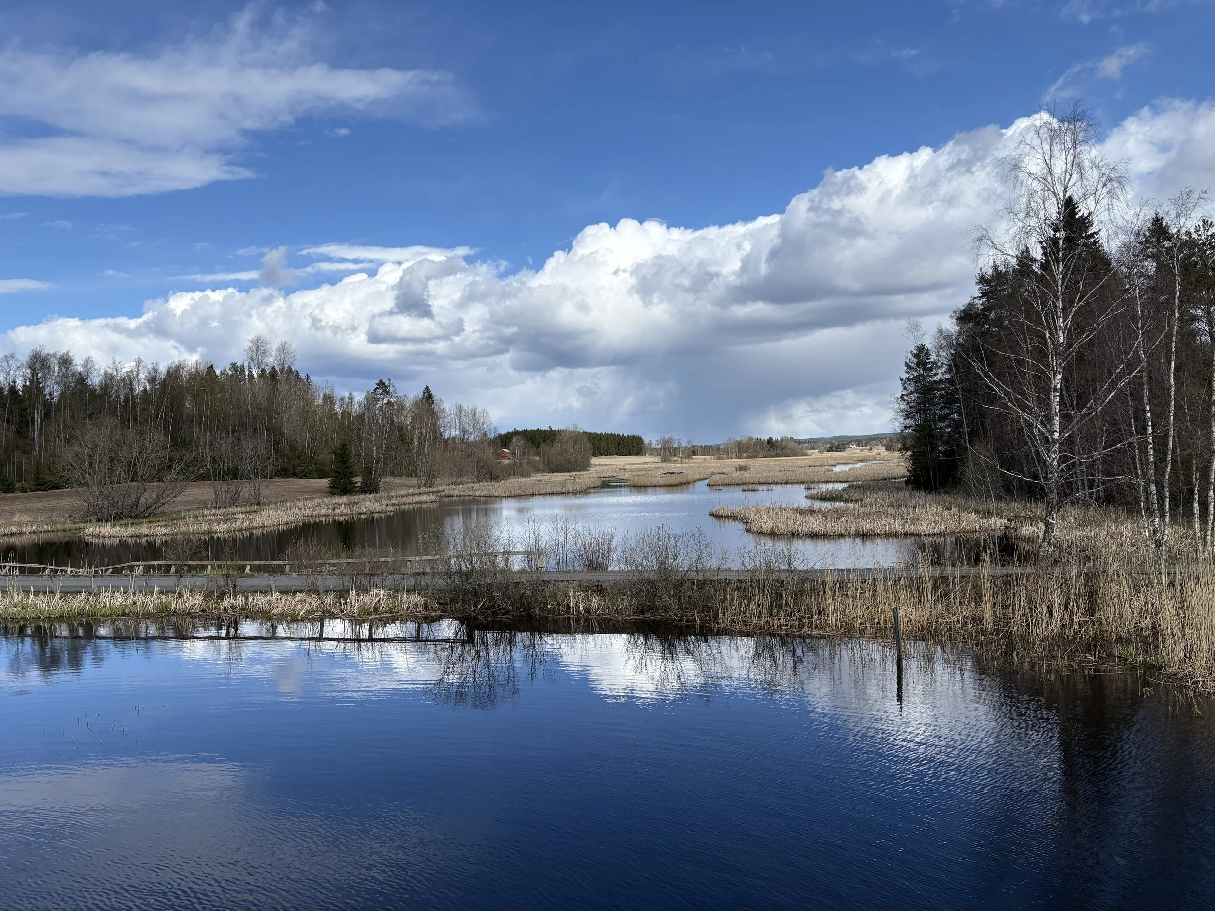 Fugletårnet ved Gjølsjøen