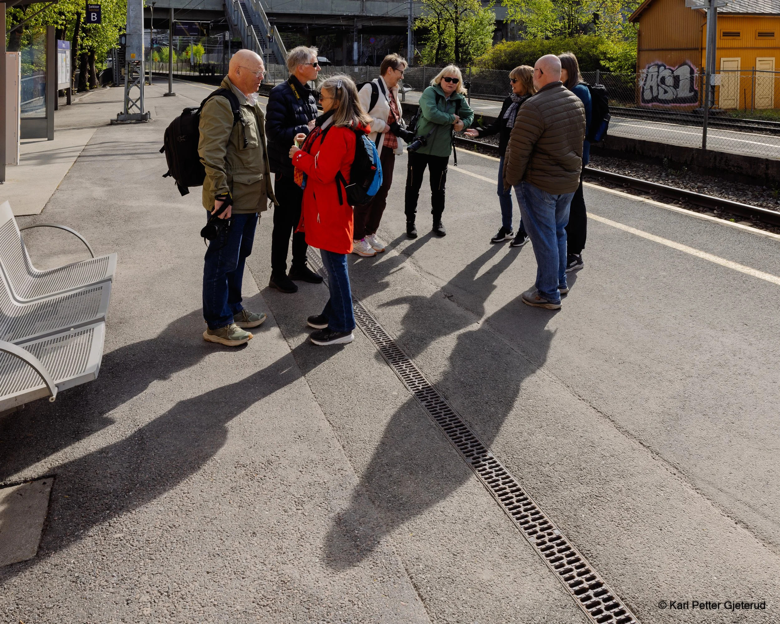 Urskogsvandring i Oslo 