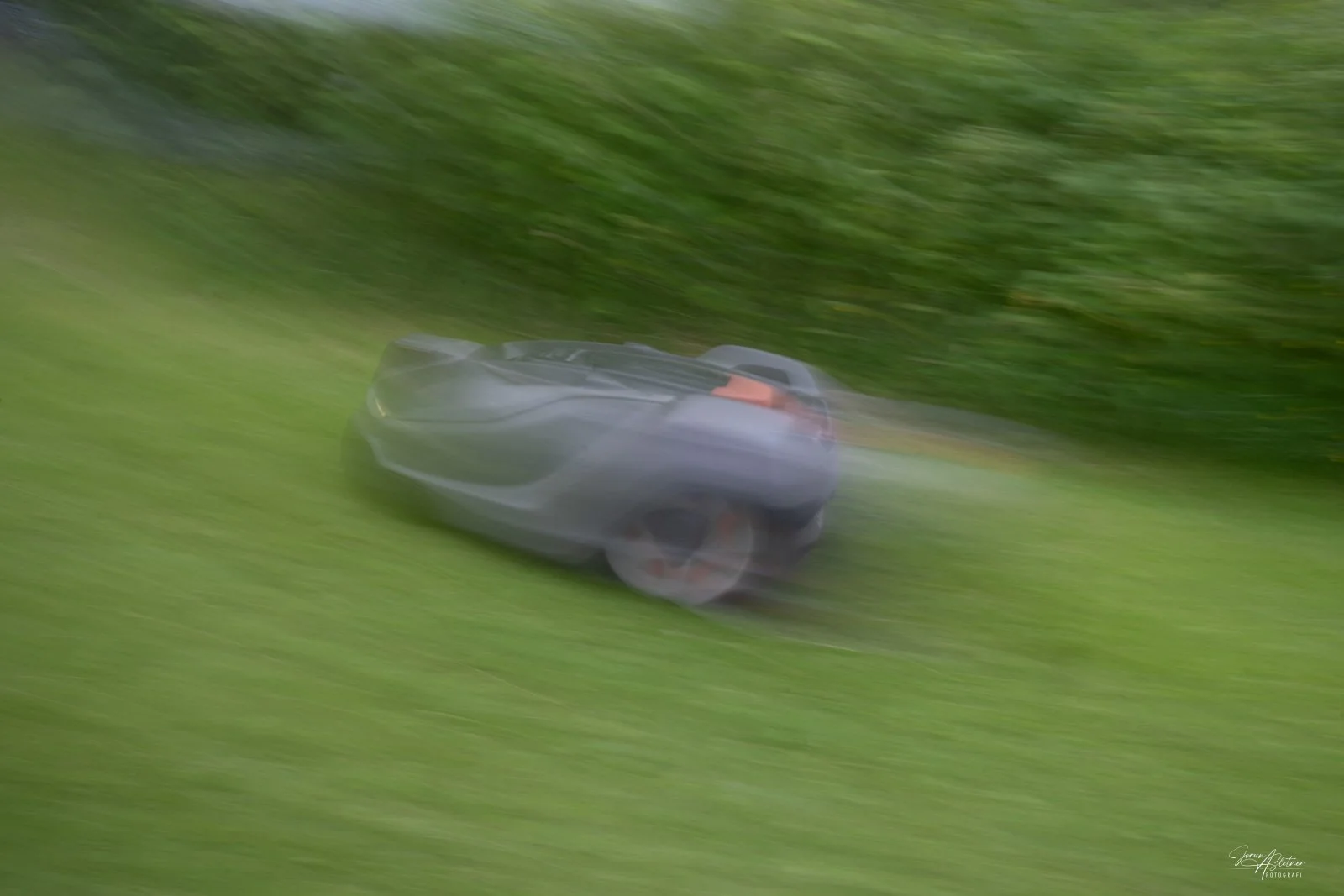 Z63_8983.jpg