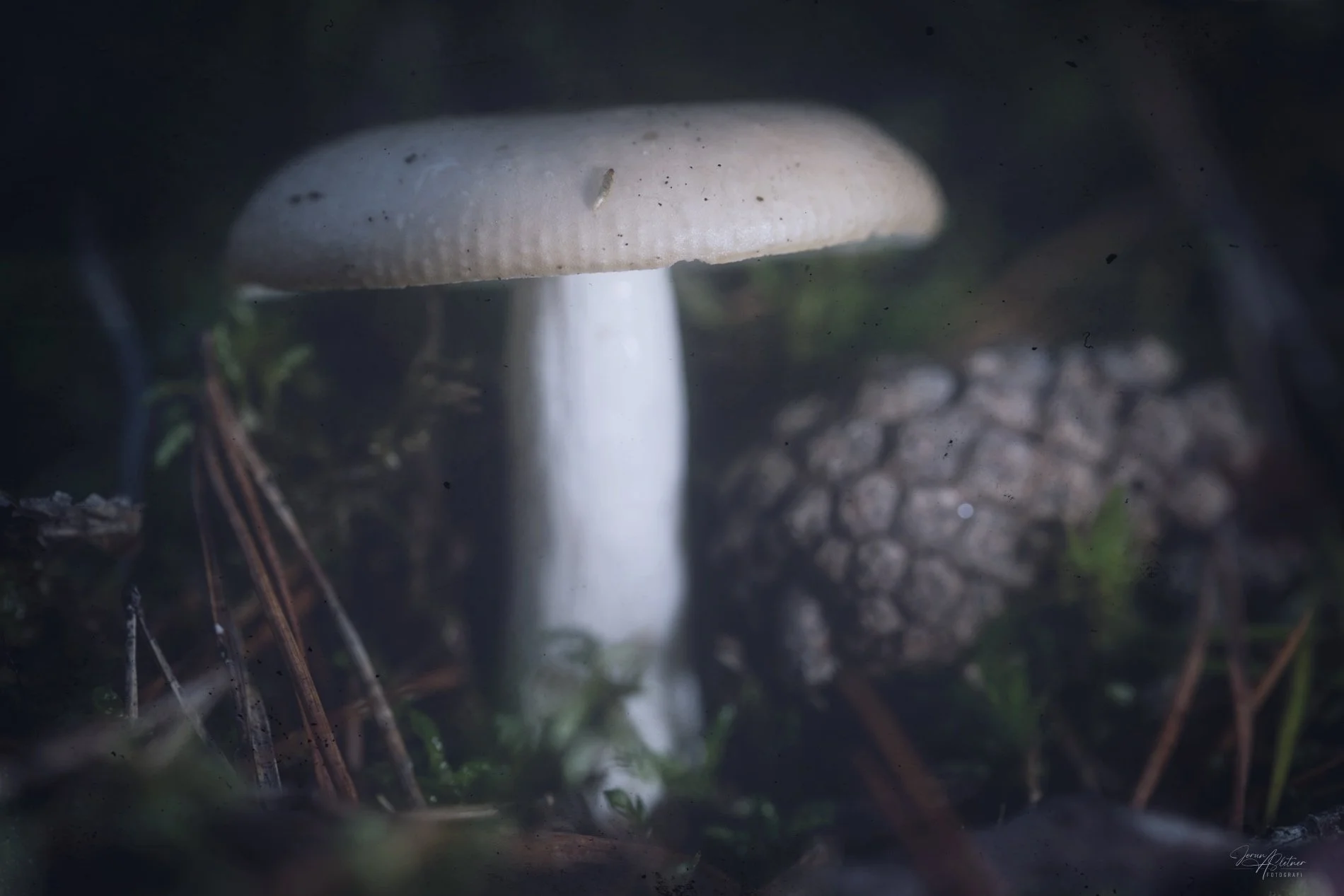 Soppturen ble «kort og våt!»
