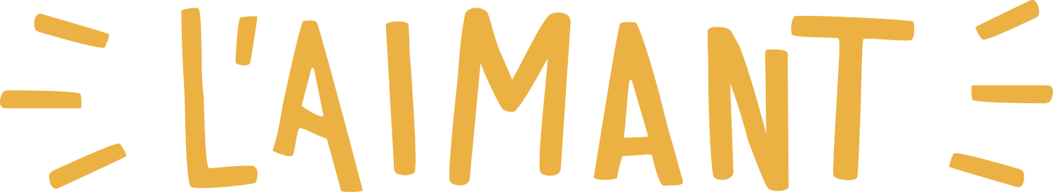 L'AIMANT
