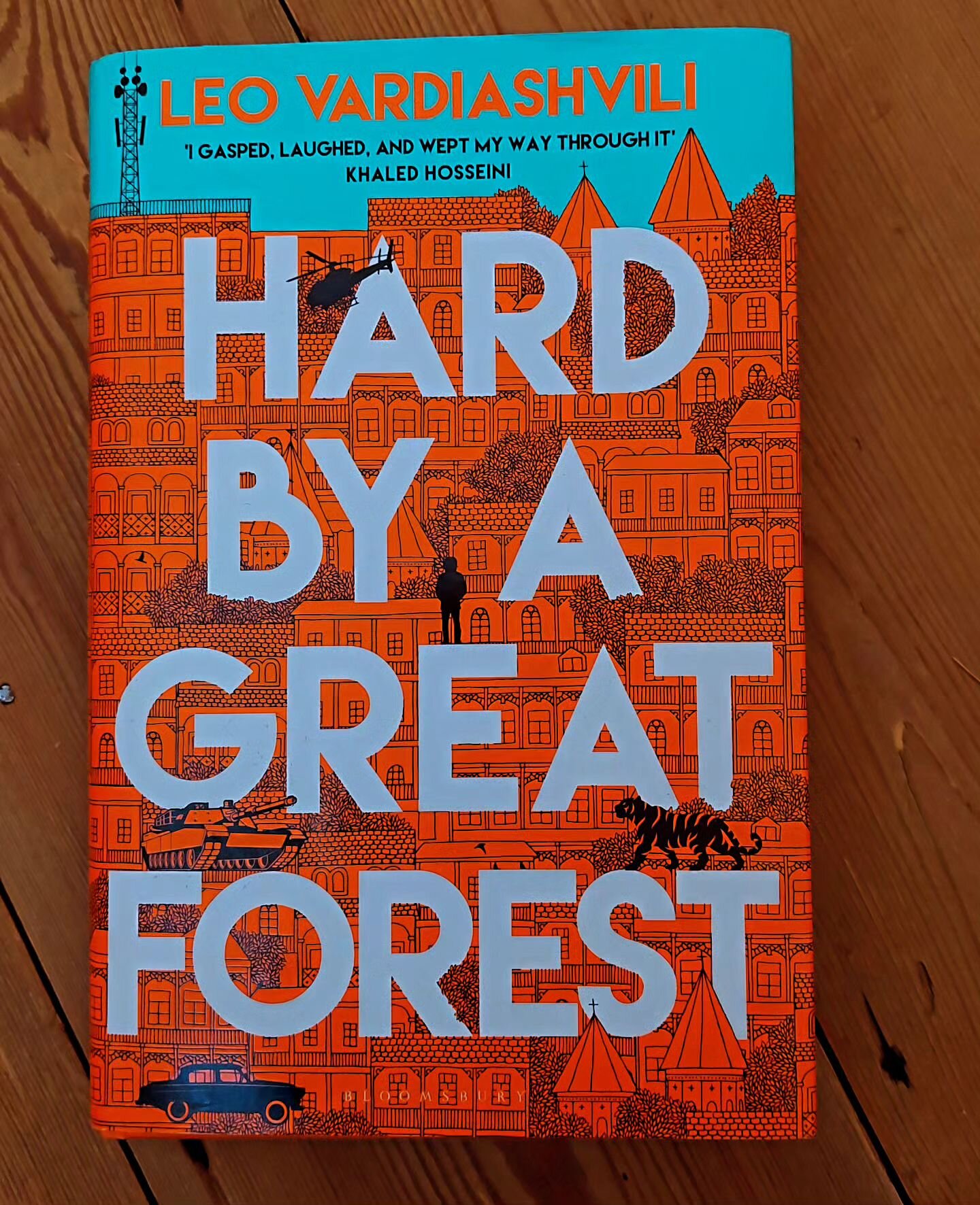 A wonderful evocation if the experience of displacement felt by tefugees, and the difficulty of returning to a lost homeland. - both its geography and its people.  I admire the writing so much. Ad the dark humour. And Leo Vardiashvili's willingness t