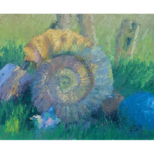 Ammonite1.gif