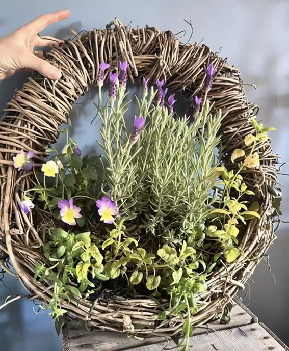 Hand Crafted Living Wreath