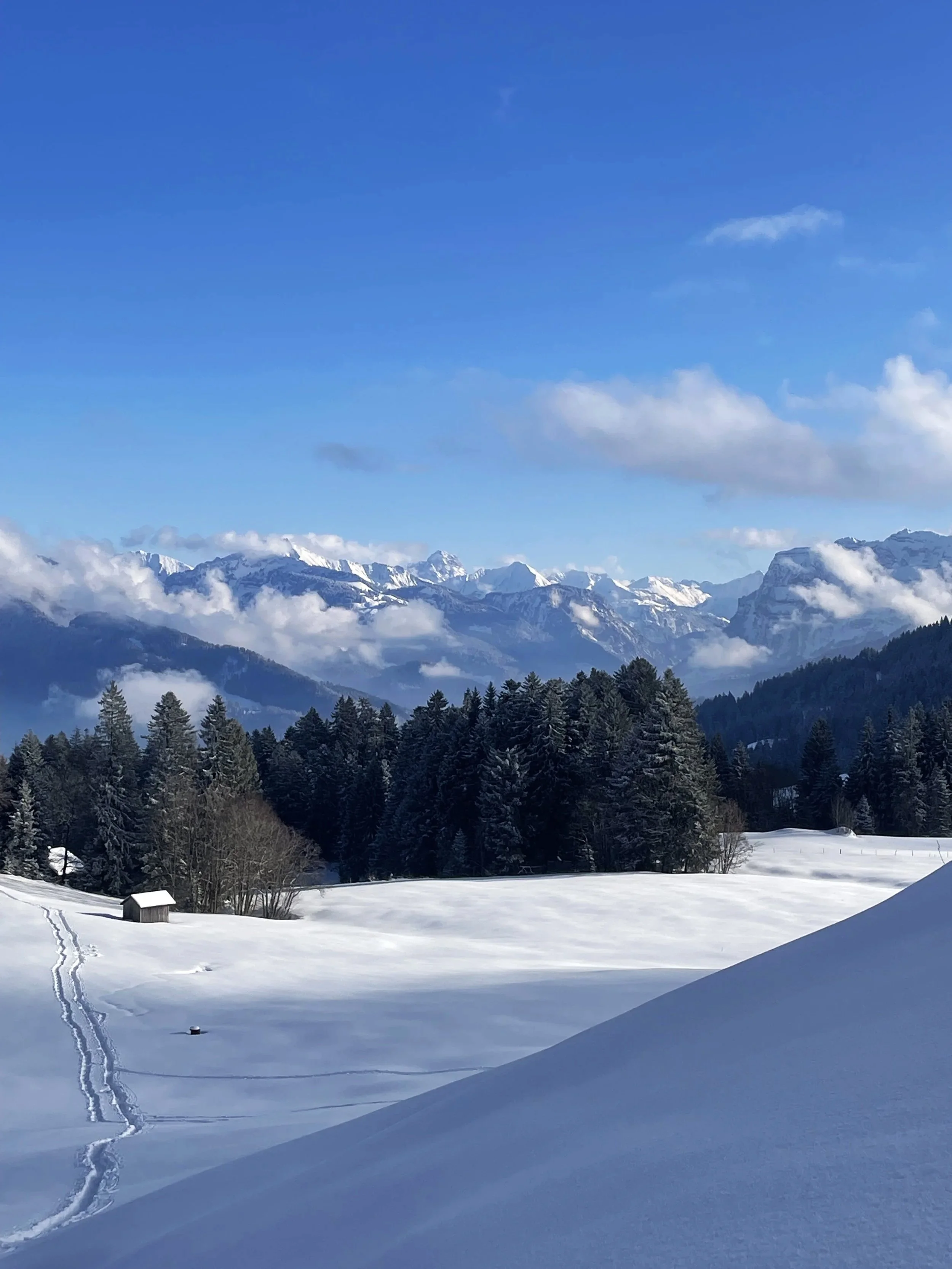Abseits der Piste im Bregenzerwald