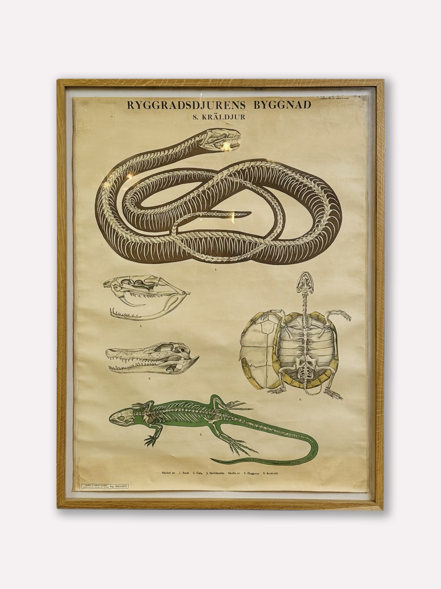 Affiche didactique, années 20-30