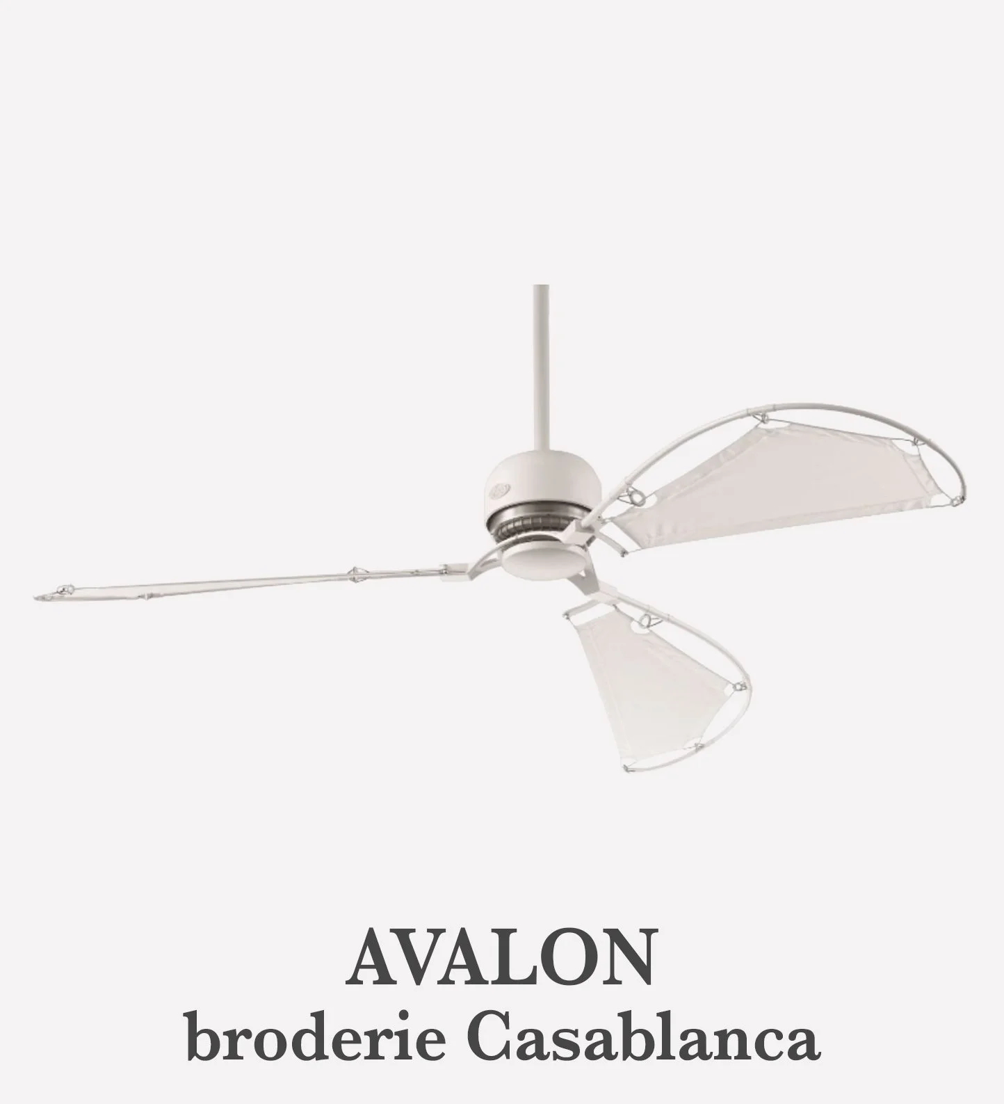 AVALON_produit_name.jpg