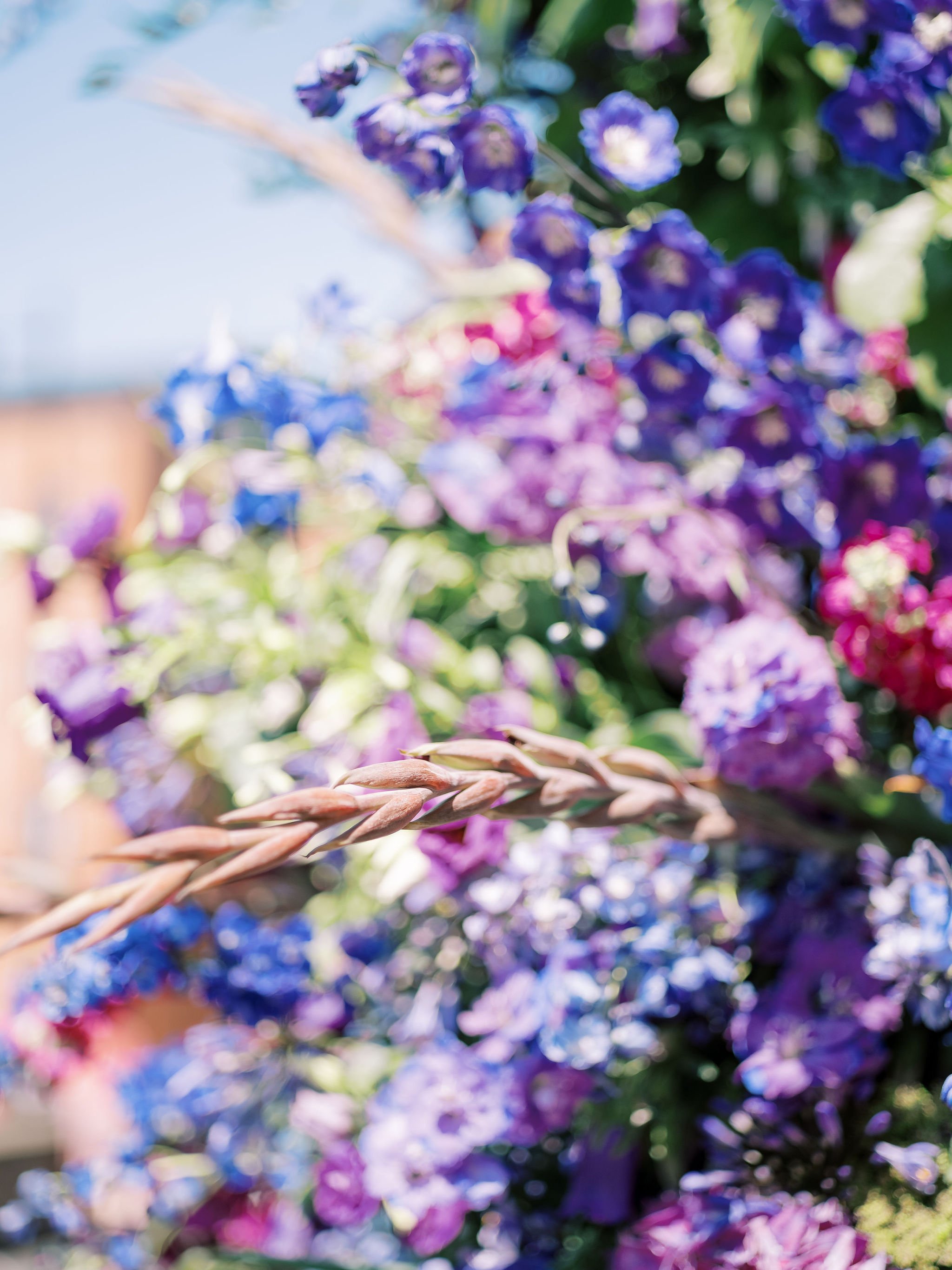 JoannaBriggsPhotography-DebrahJFlowers-191.jpg