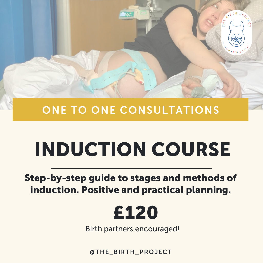 Induction Course online — The Birth Project