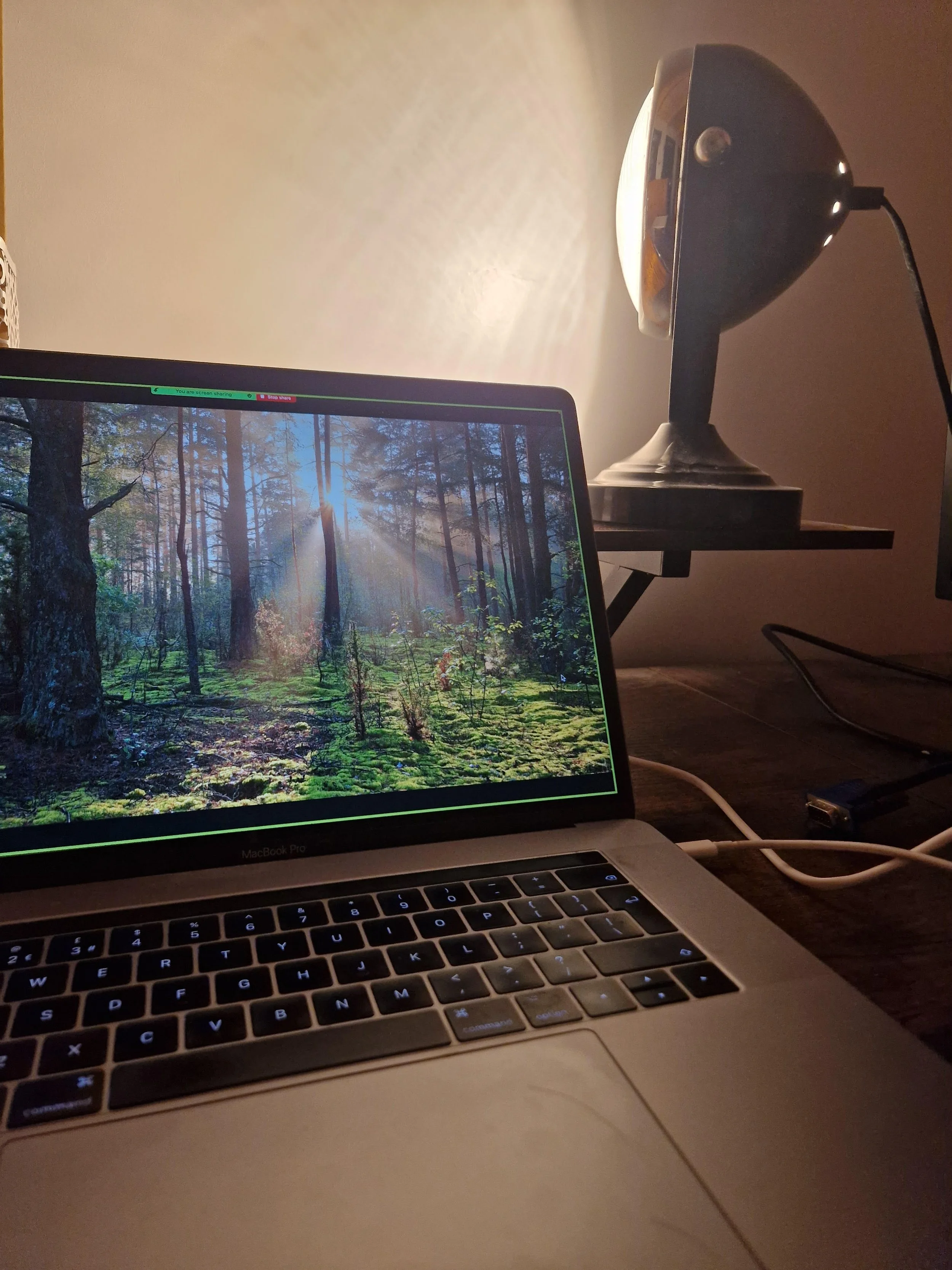 Pregnancy Loss Guided Relaxation: used in our FREE Journaling and Relaxation Session