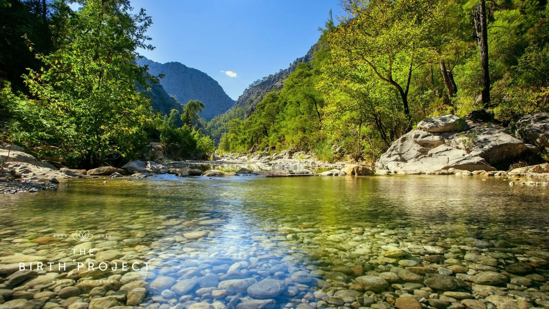 Pregnancy Loss Acknowledging Your Feelings.jpg