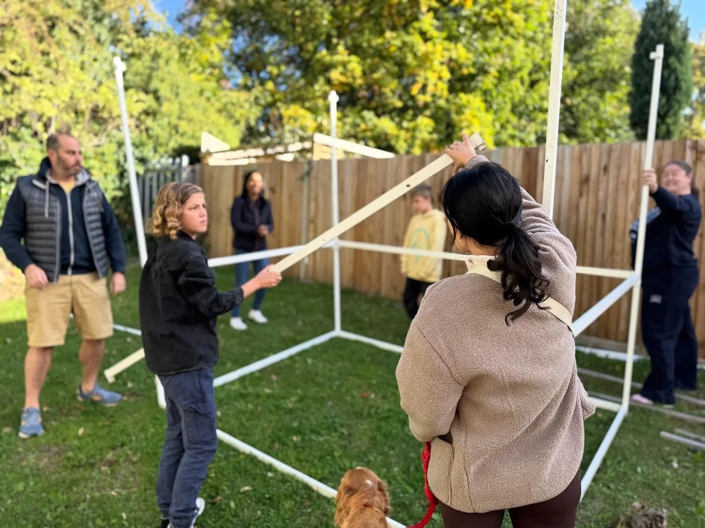 Many hands (and paws!) make for light work when it comes to building the SAMS Succah! Hag Sameah! 🌿🍋🪾