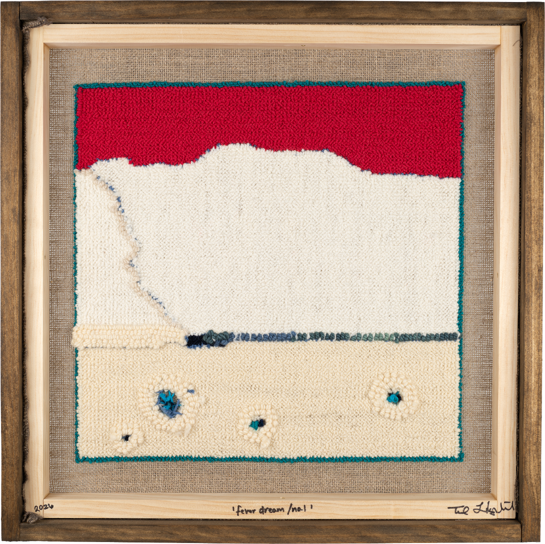 fever dream, no 1, framed, back__downsampled.png