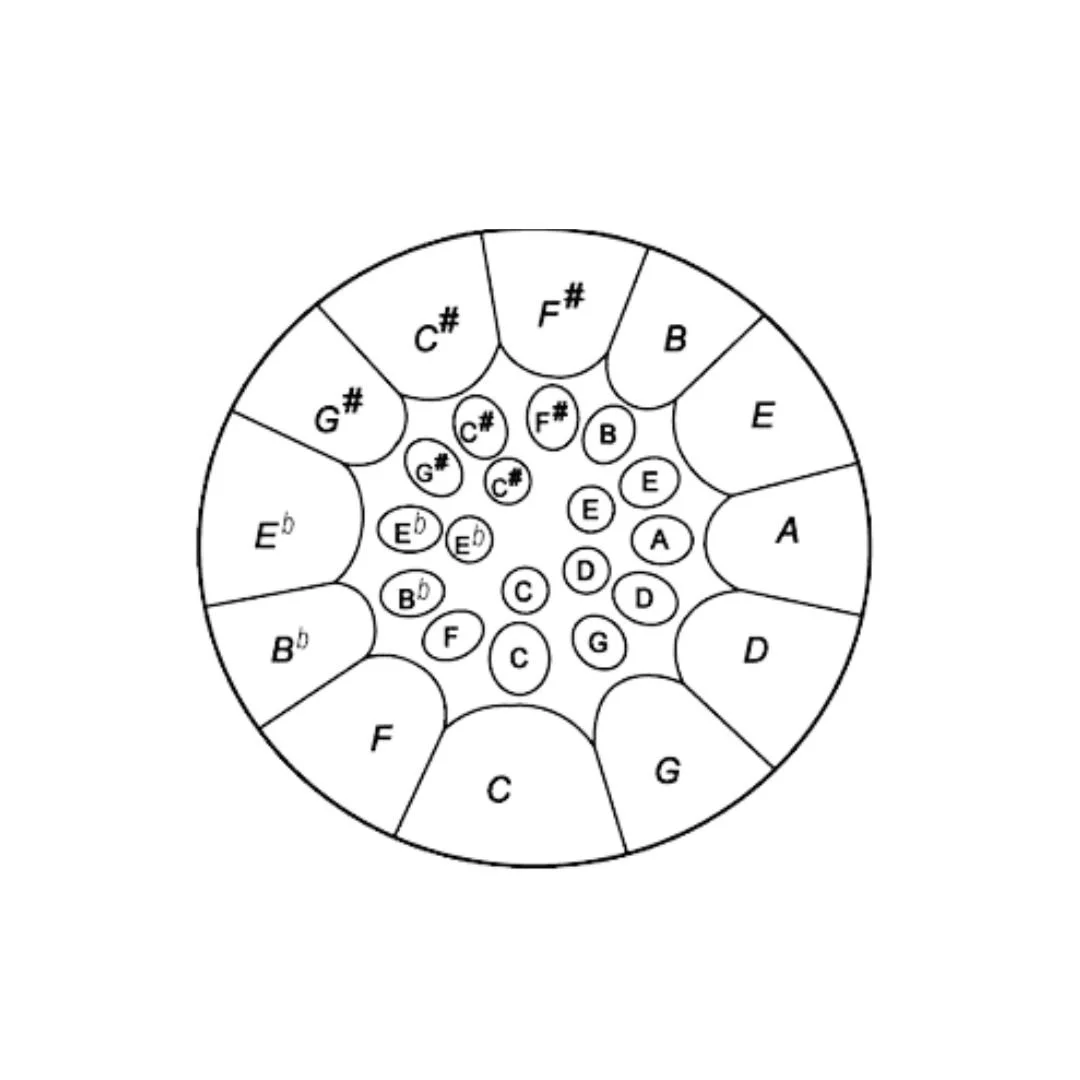 Tenor Steeldrum Steelpan in Low C mit Noten-Layout
