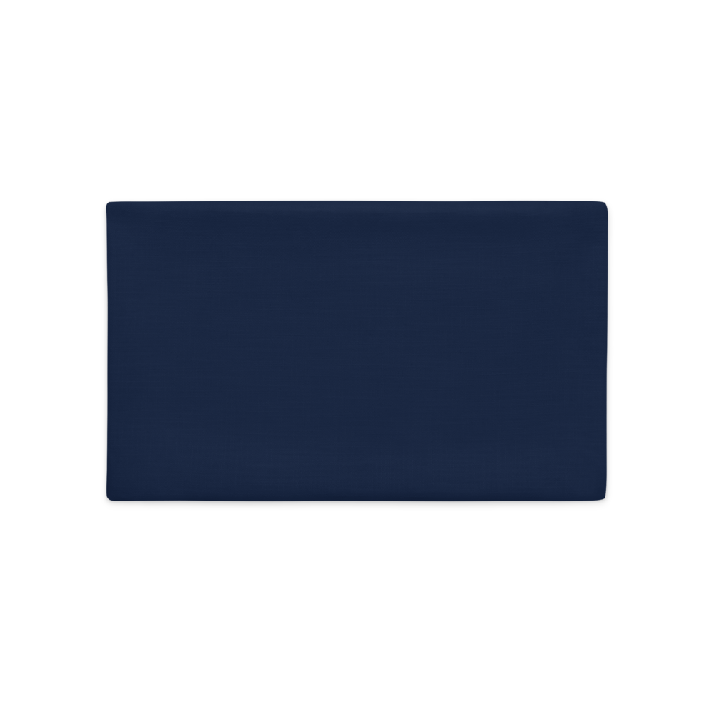 all-over-print-premium-pillow-case-20x12-back-603544d976bb9.png